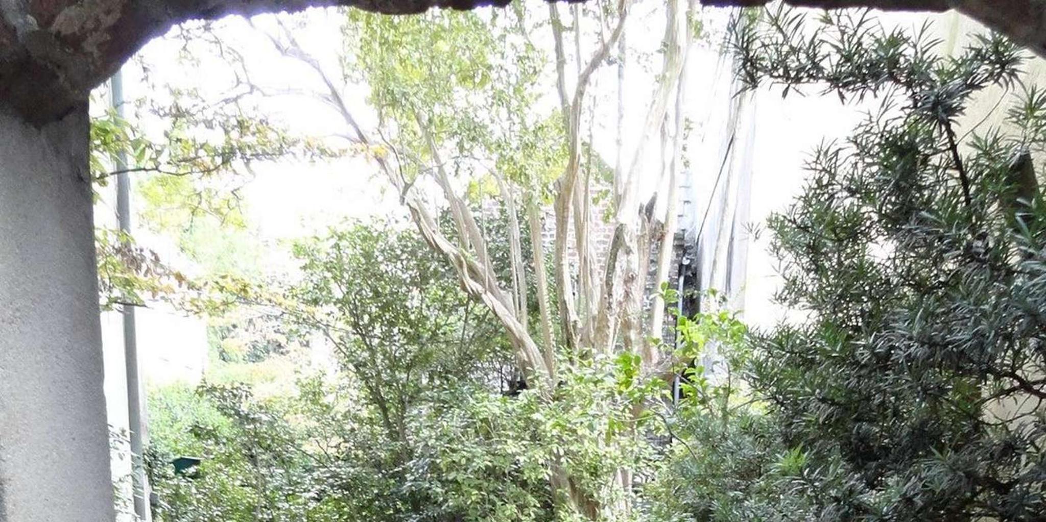 Charleston Walking Tour with Local Guide - Image 5