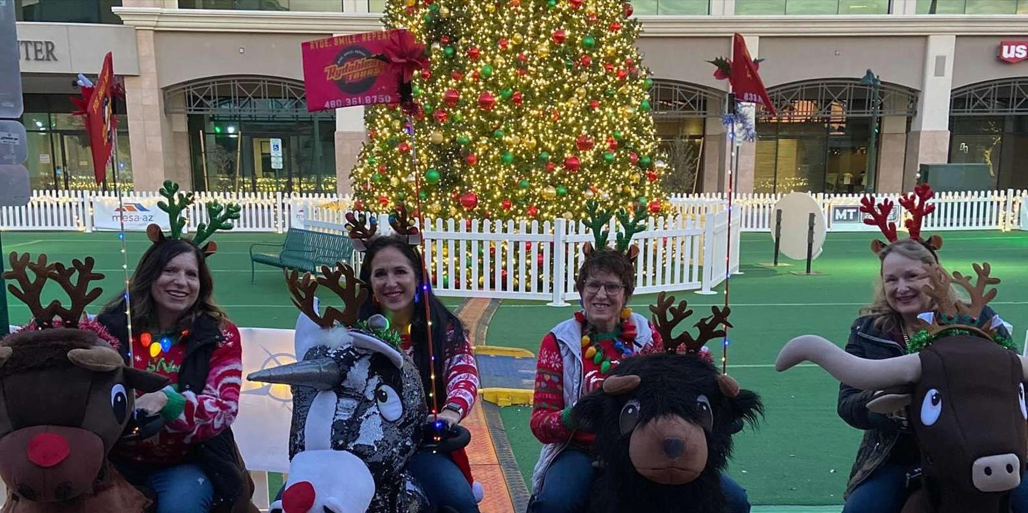 Charlotte Holiday Lights Rydable Tour 1 hr - Image 3