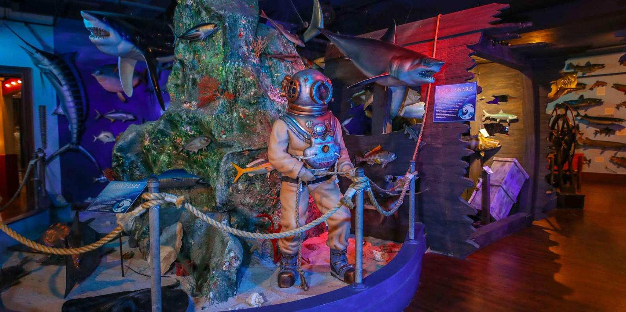 San Antonio Buckhorn Saloon & Texas Ranger Museum Entry - Image 5