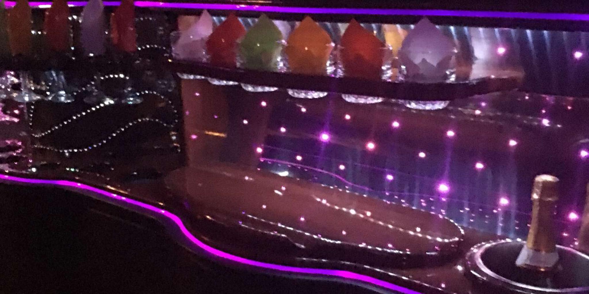 Brooklyn Christmas Limousine Tour - Image 4