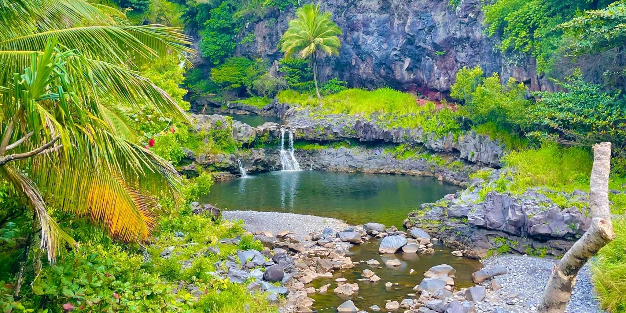 Maui Road to Hana Private Tour in Convertible SUV - Image 2
