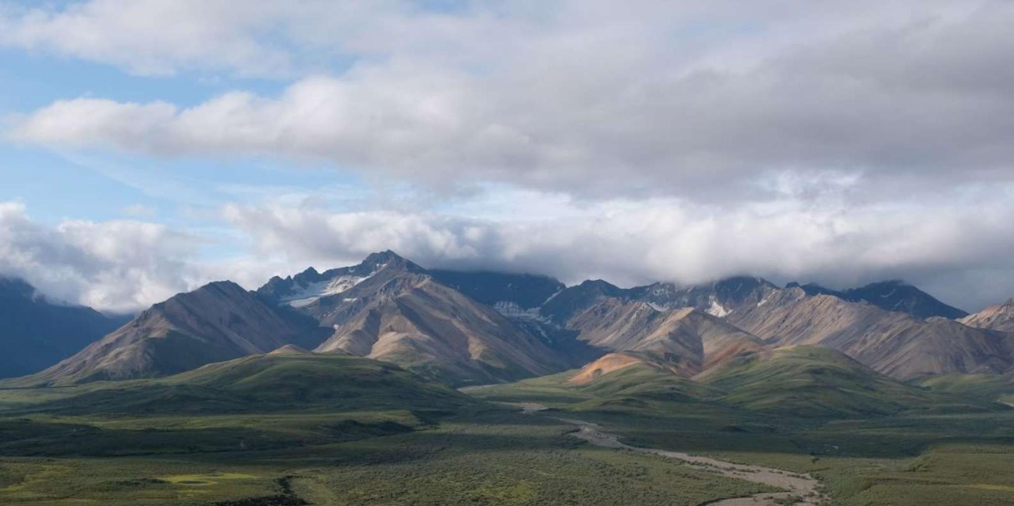 Anchorage Ocean Wildlife and Interior Wilderness Tour 9 Days - Image 4