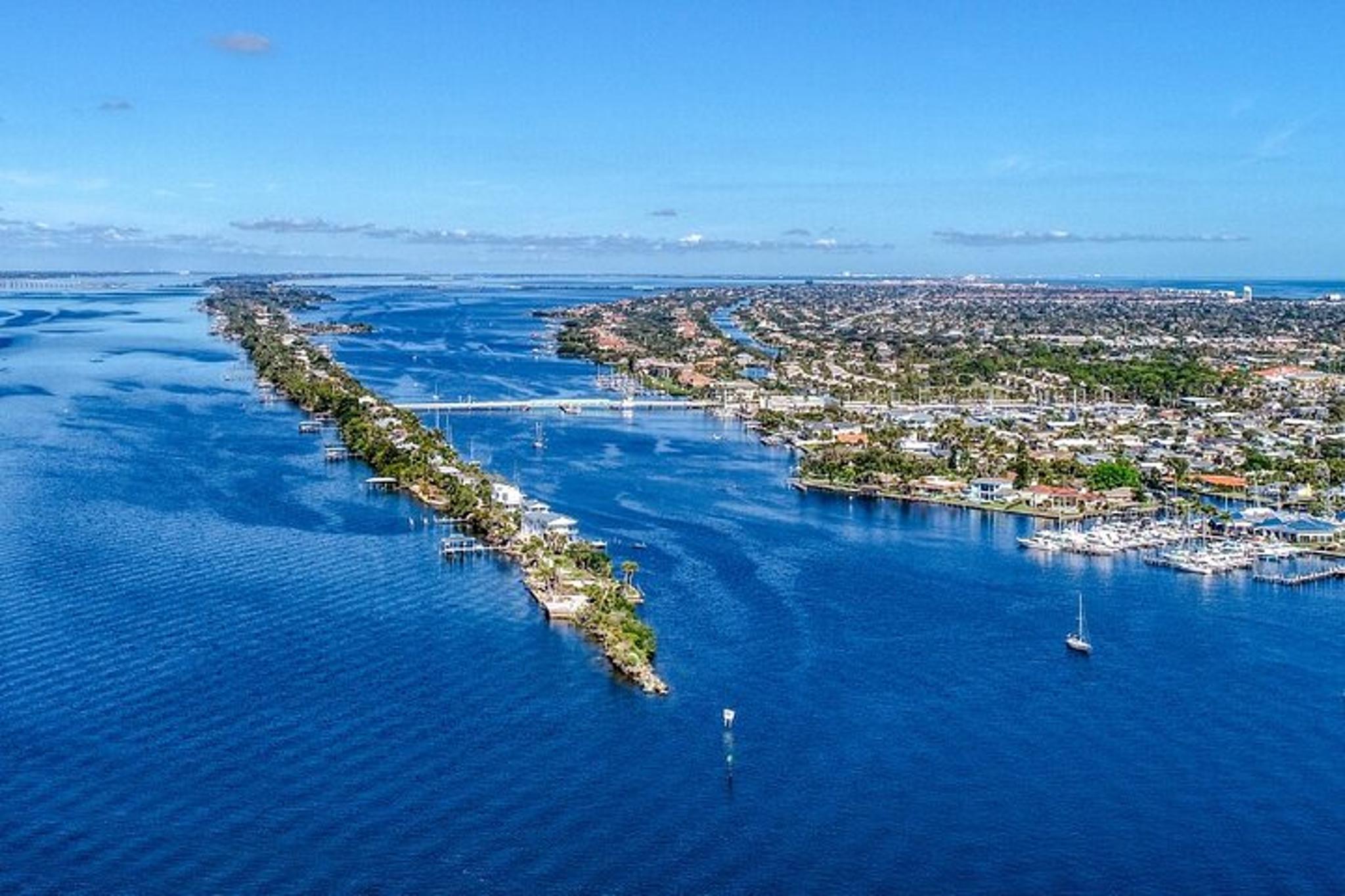 Melbourne Dolphin Tour - Image 6