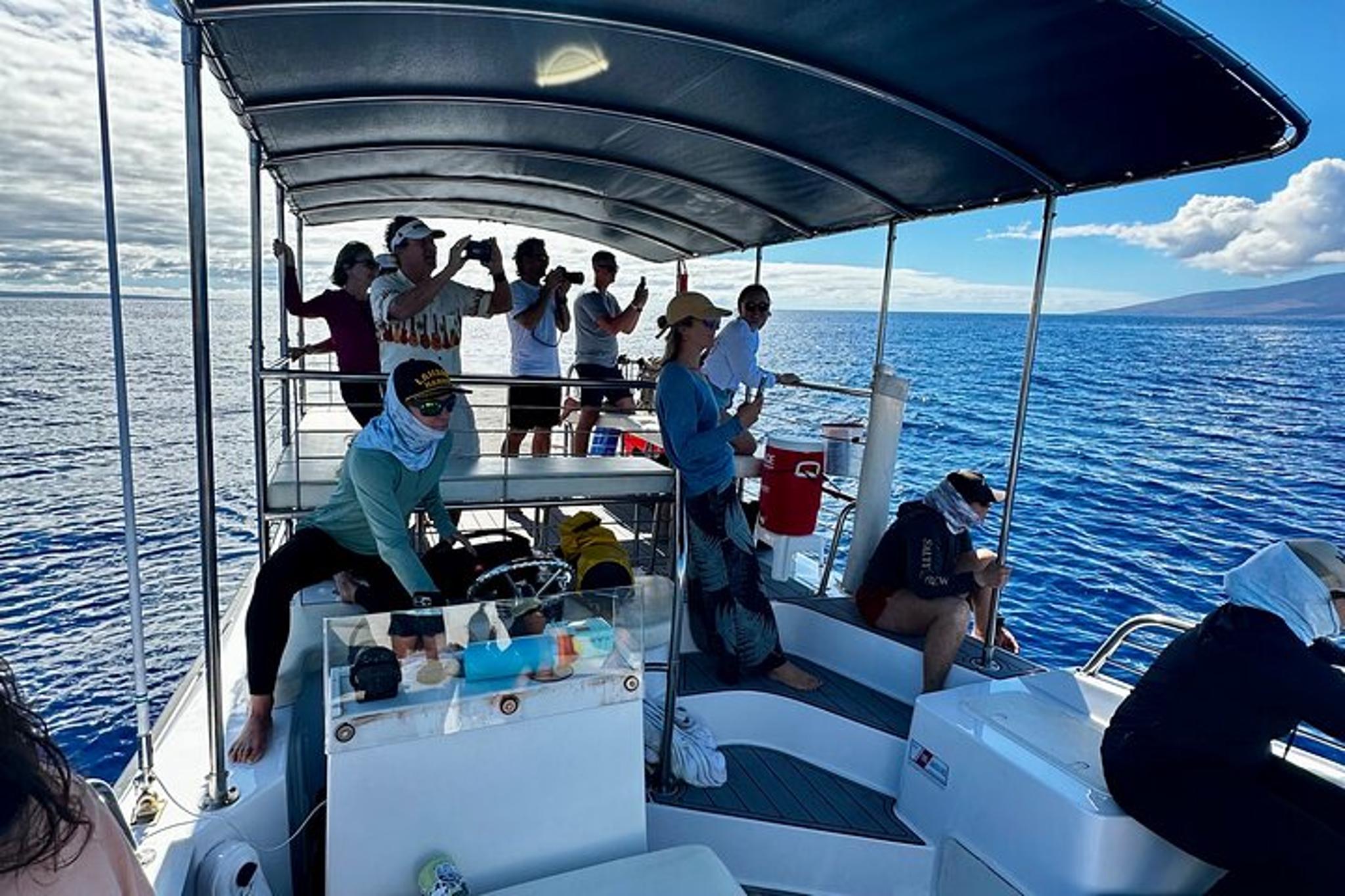 Maui Whale Watching Tour at Midday - Image 4
