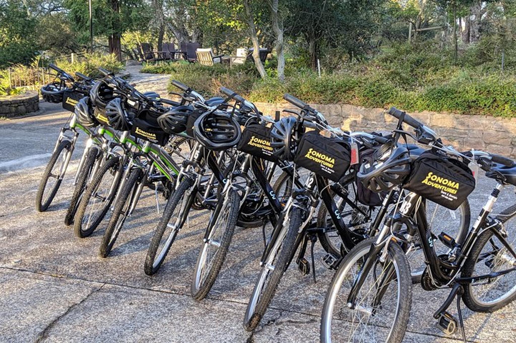 Sonoma Valley Pedal Assist Bike Tour - Image 4