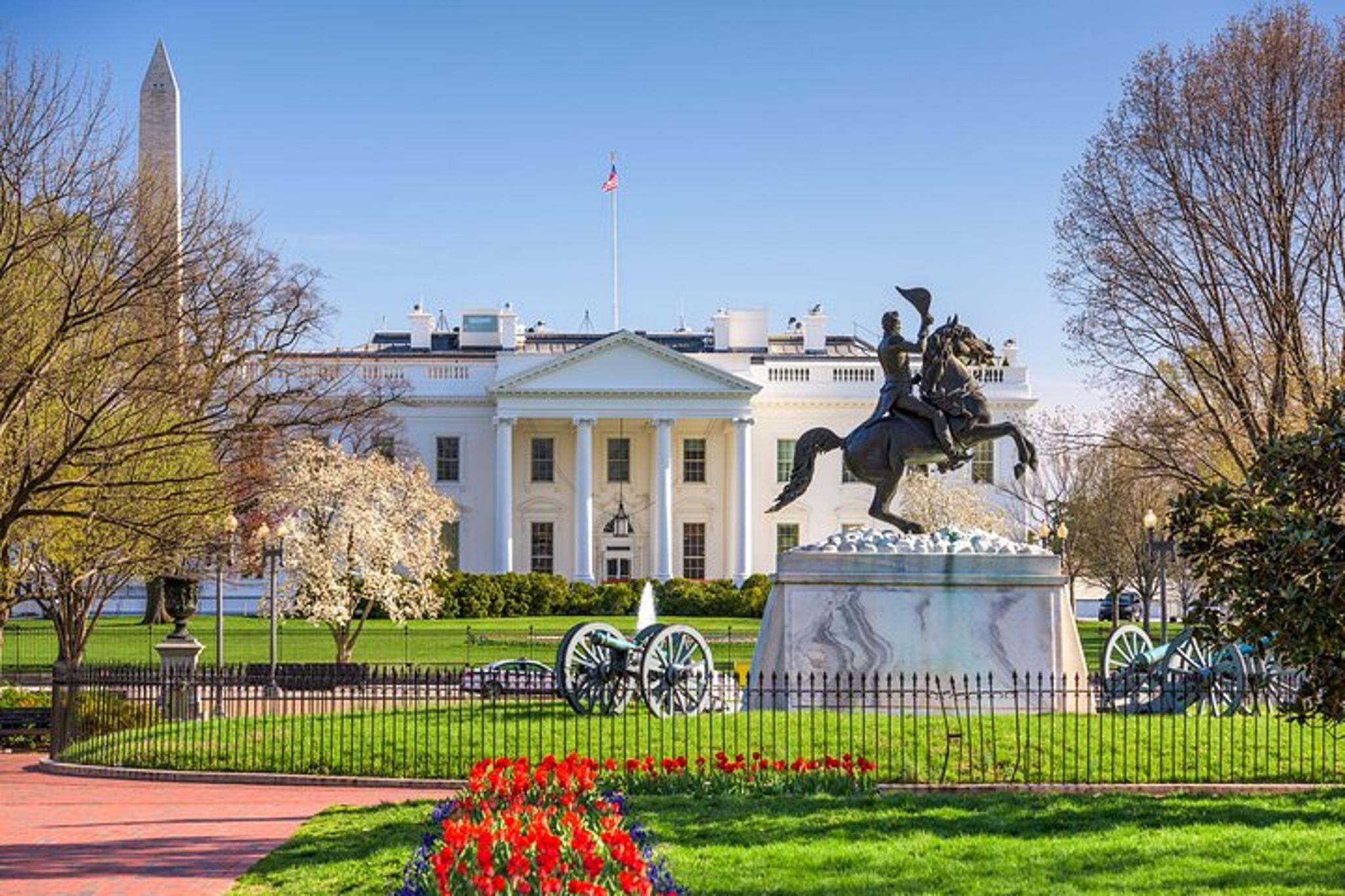 Washington DC Private Tour Half-Day