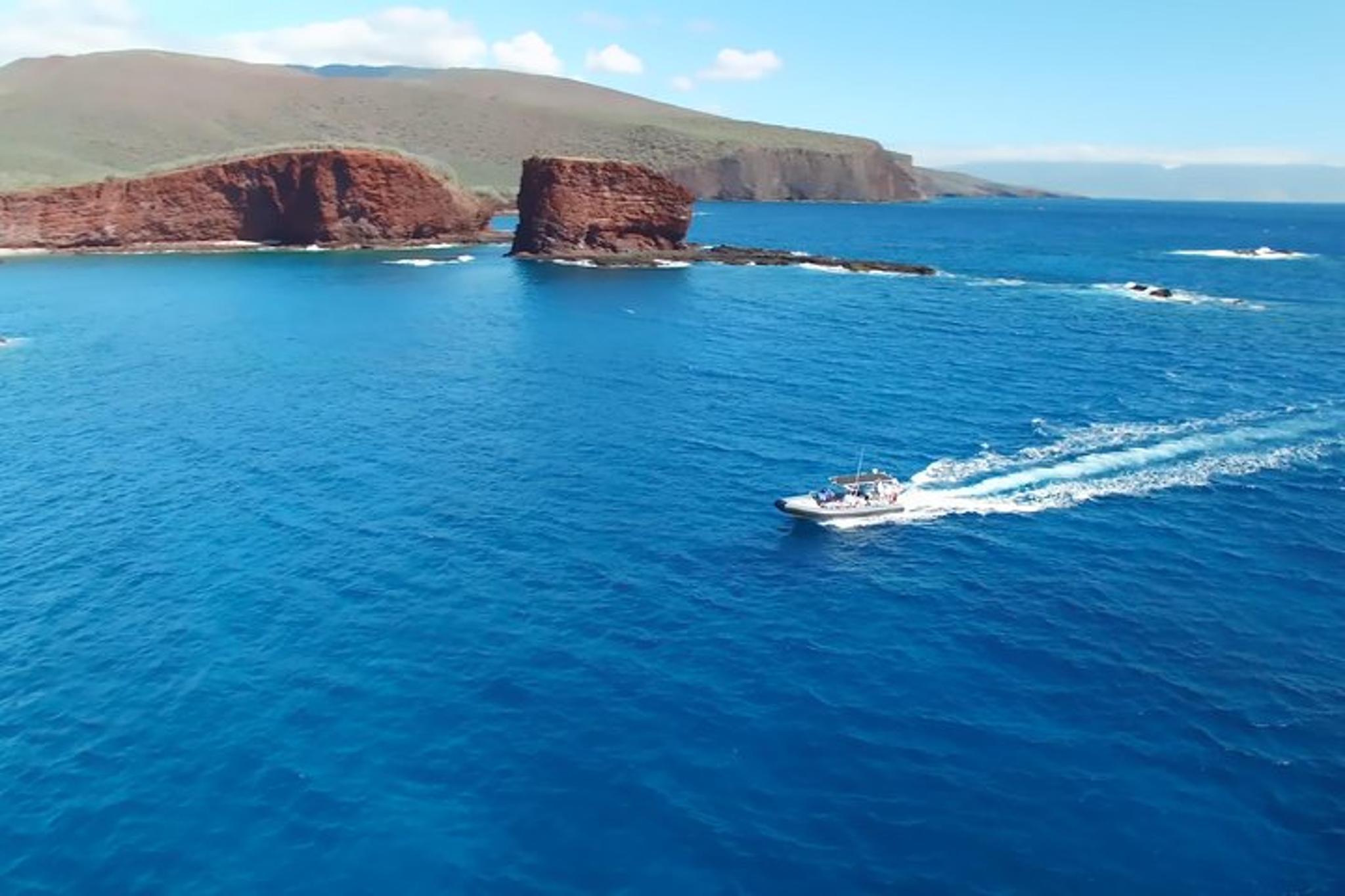 Lahaina Snorkel and SCUBA Adventure - Image 5