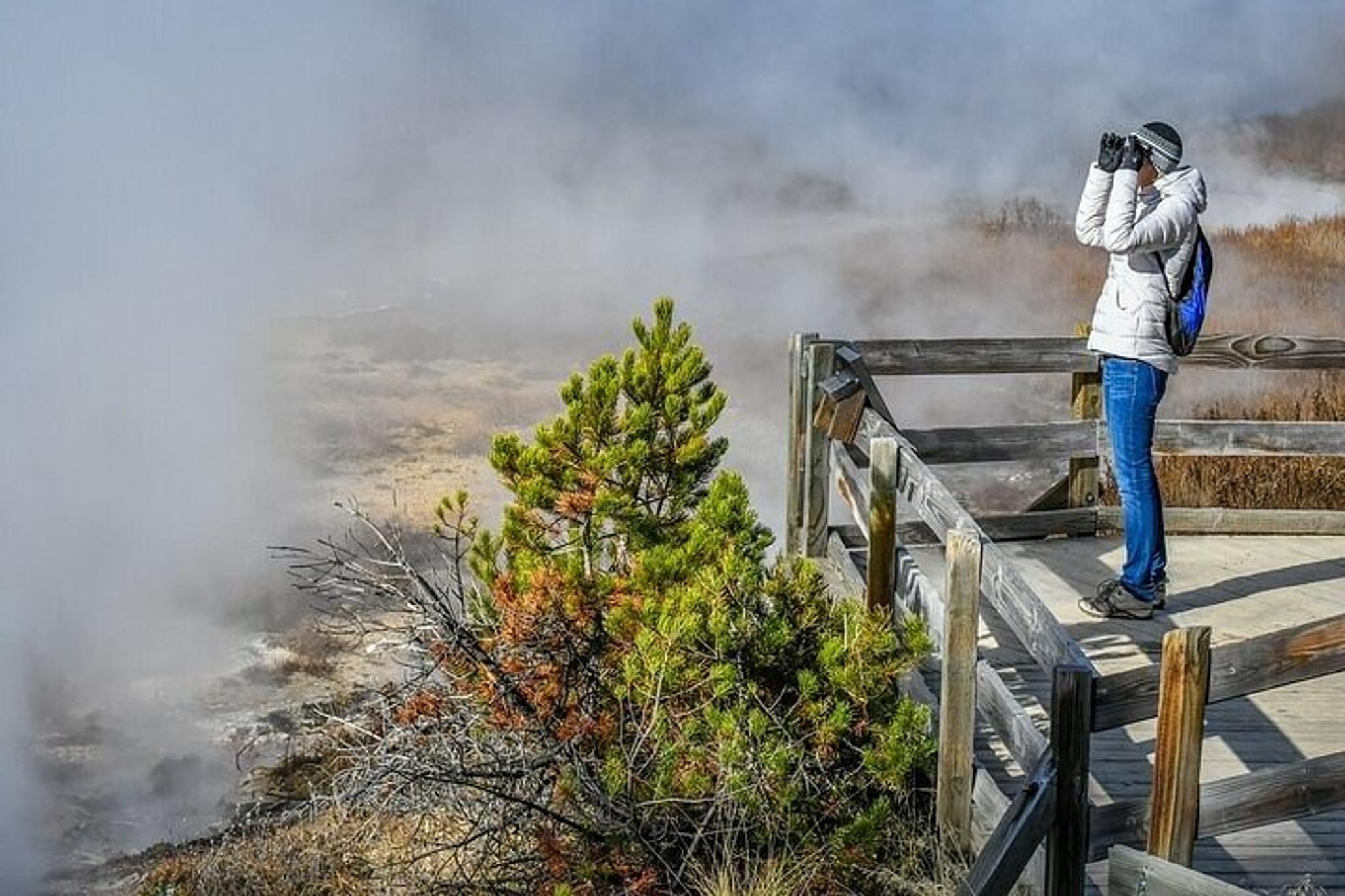 Yellowstone & Grand Teton Winter Tour 4-Day - Image 3