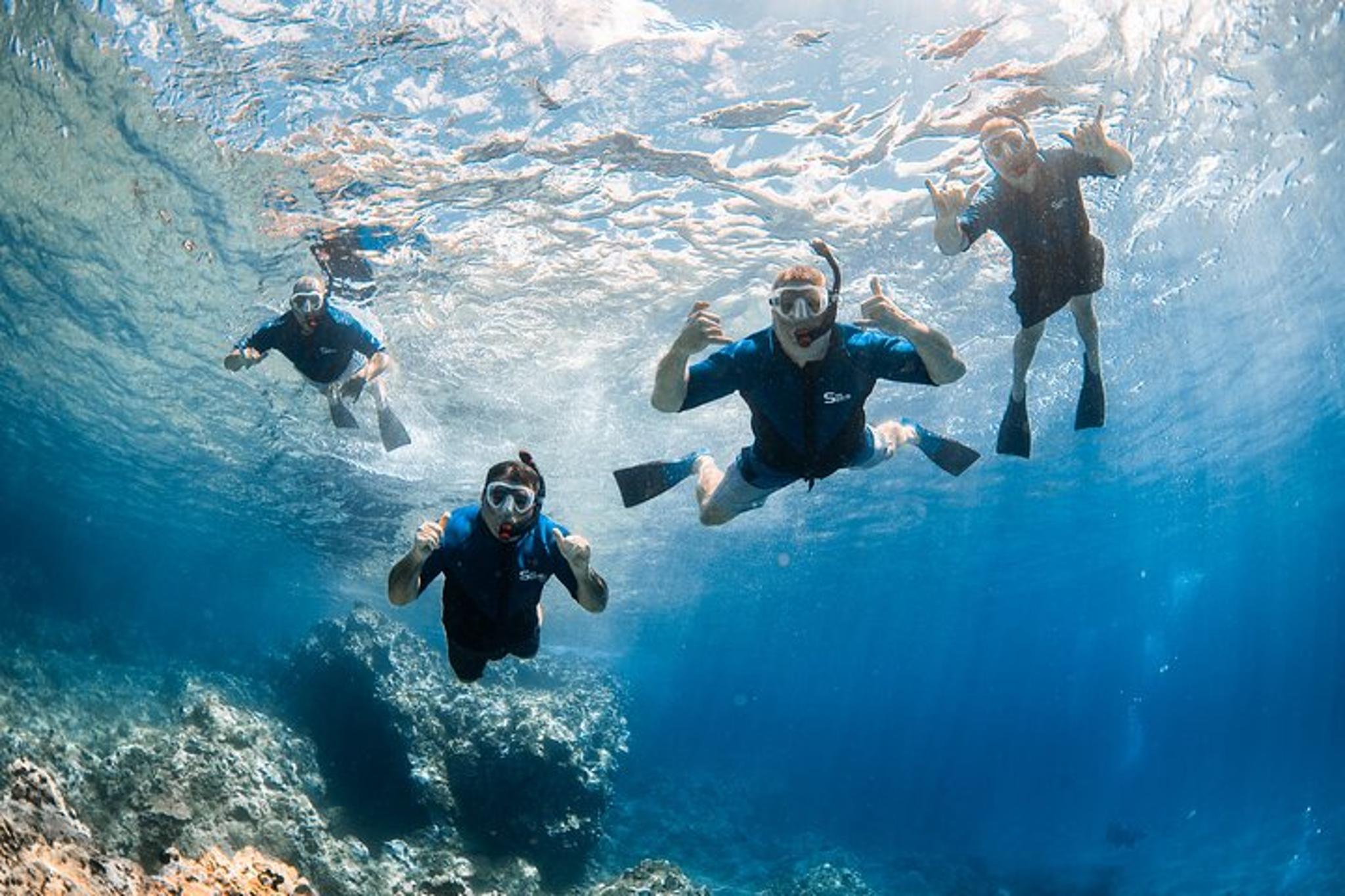 Lahaina Snorkel with Turtles at Mala Wharf 90 min - Image 4