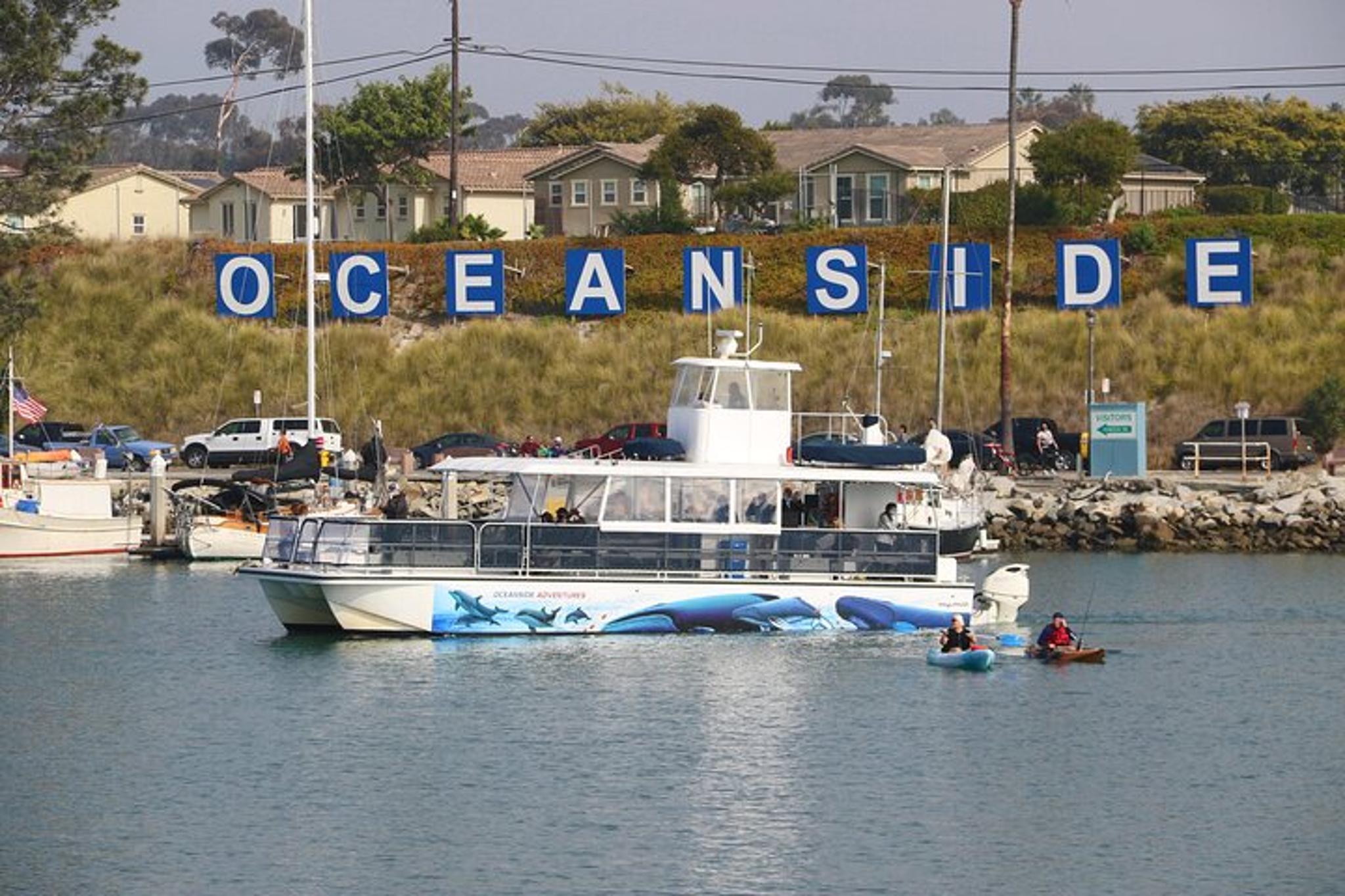 Oceanside Whale Watching Tour 2 hr - Image 4