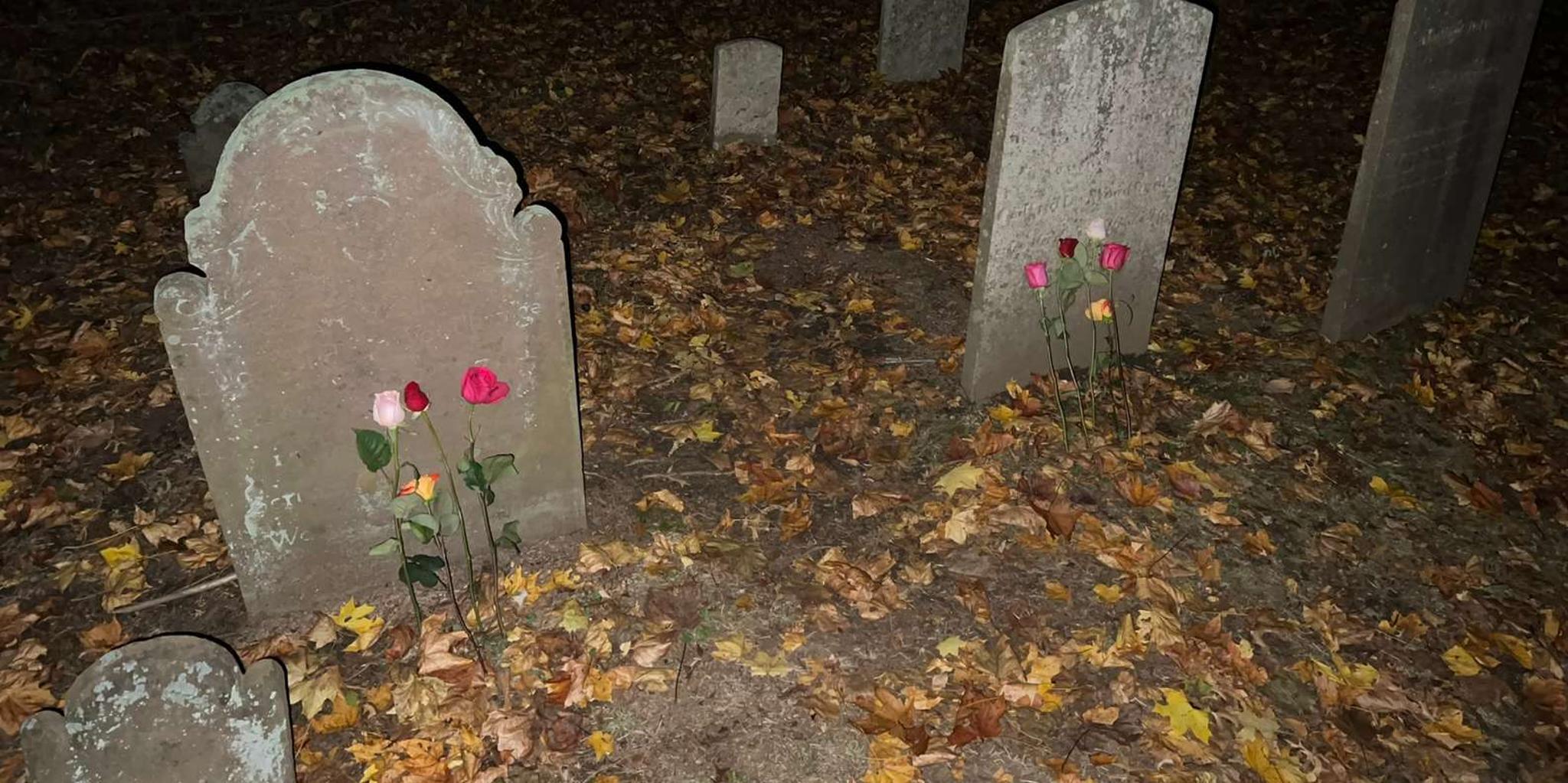Mystic Graveyard Ghost Tour by Moonlight - Image 3