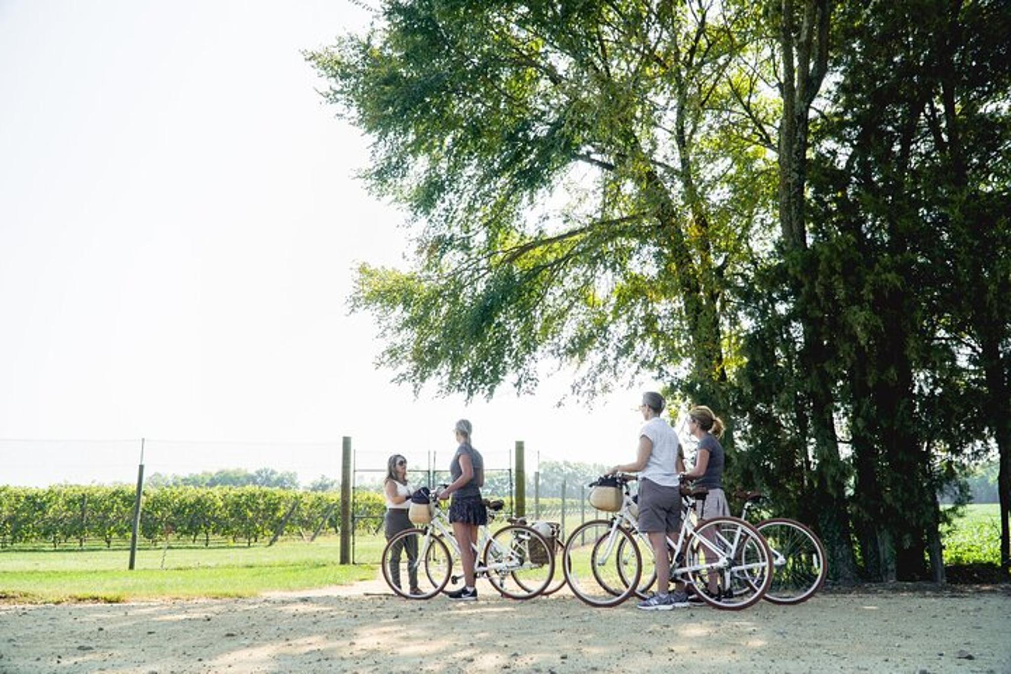 Richmond Bicycle Tour at Upper Shirley Vineyards 3 hr