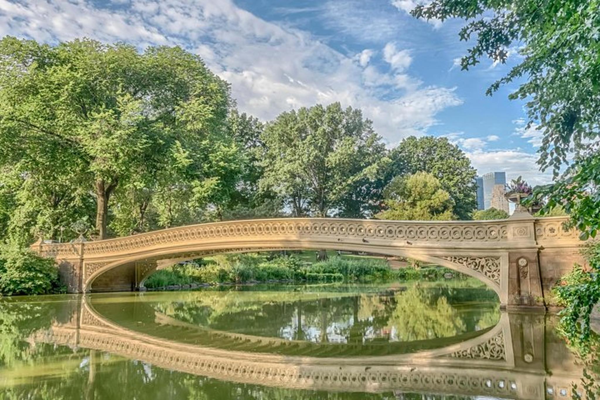 New York Central Park Pedicab Tour - Image 3