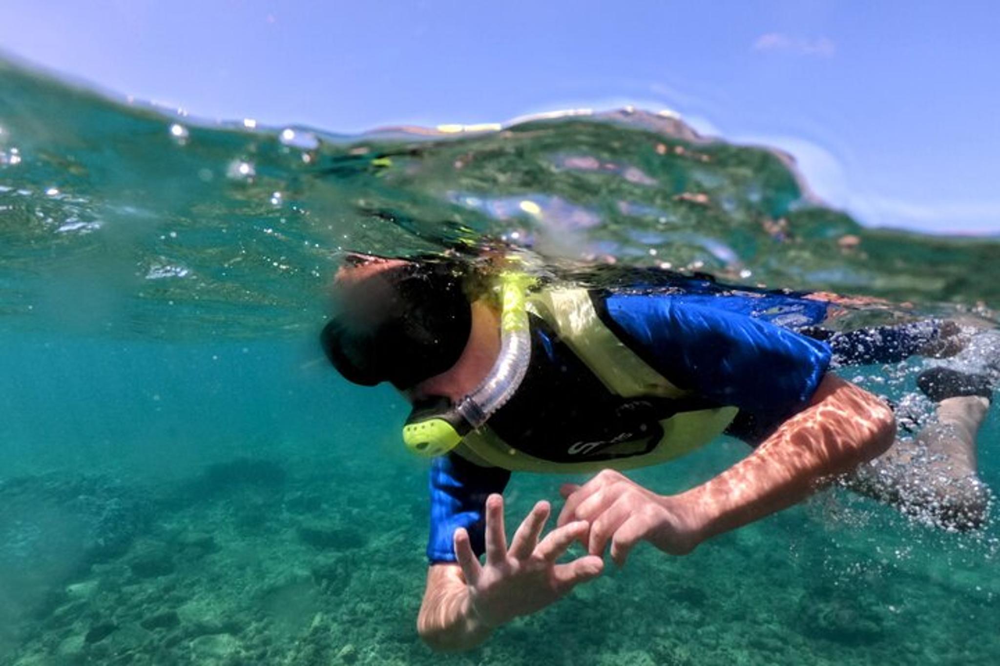 Kauai Shore Snorkel in South Poipu - Image 3