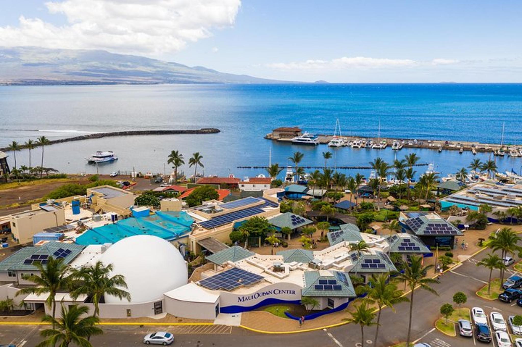 Maui Ocean Center Admission Ticket - Image 1