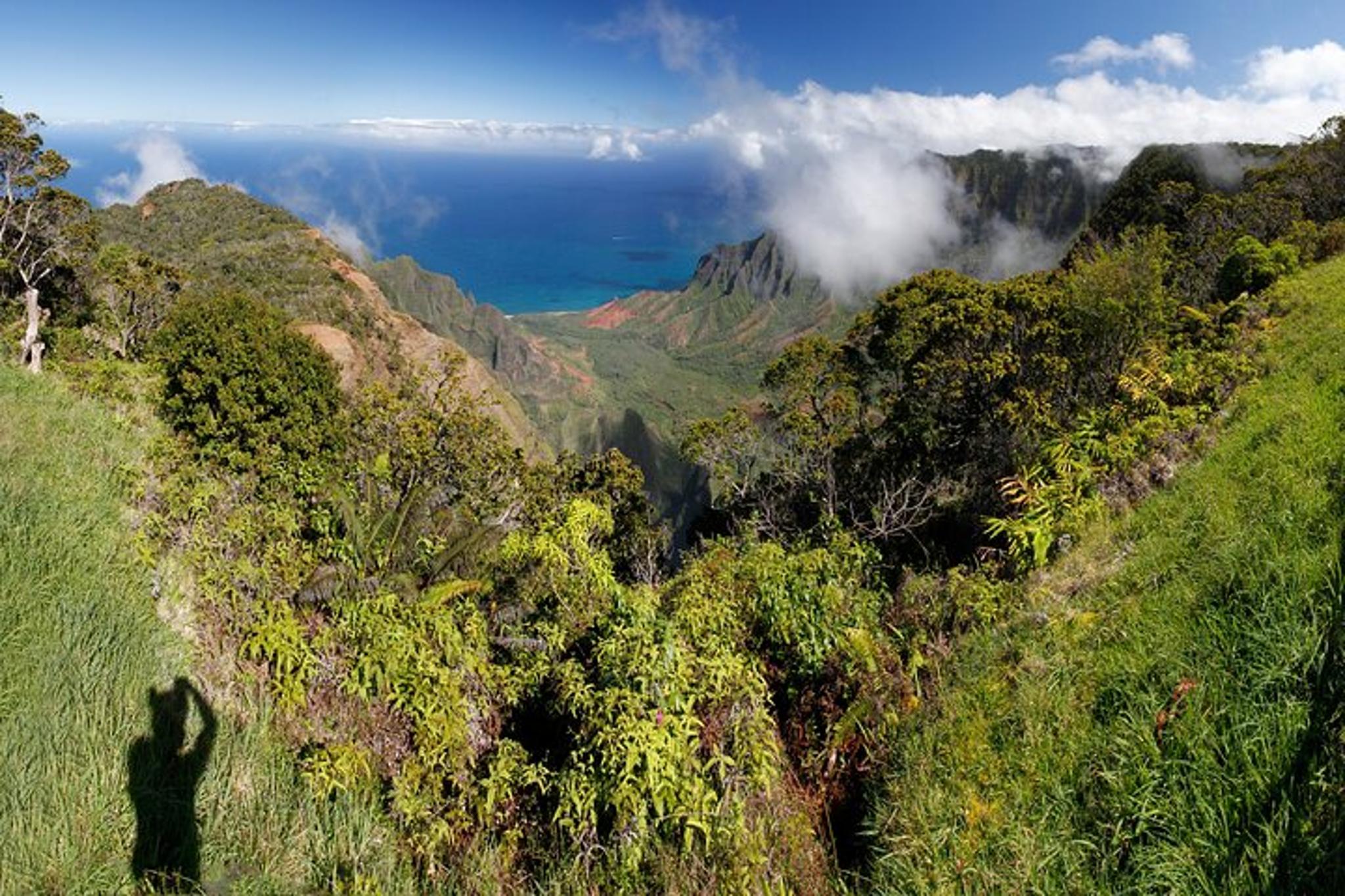 Kauai Waimea Canyon Adventure Tour - Image 2
