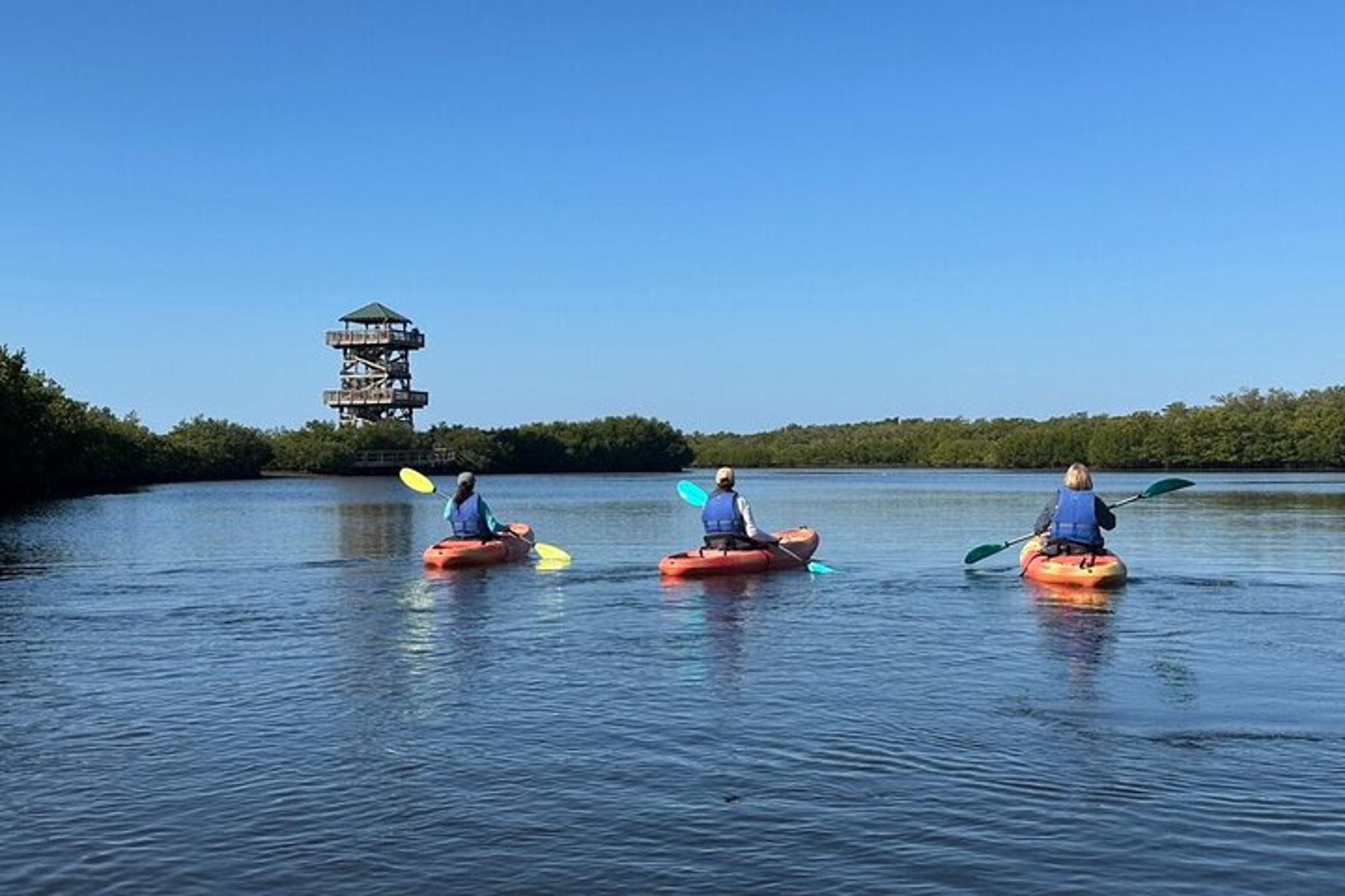 Robinson Preserve Mangrove Kayak Tour - Image 2