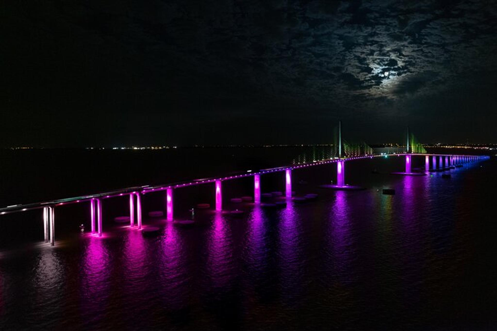St. Pete Boat Cruise with Sunset and Light Show