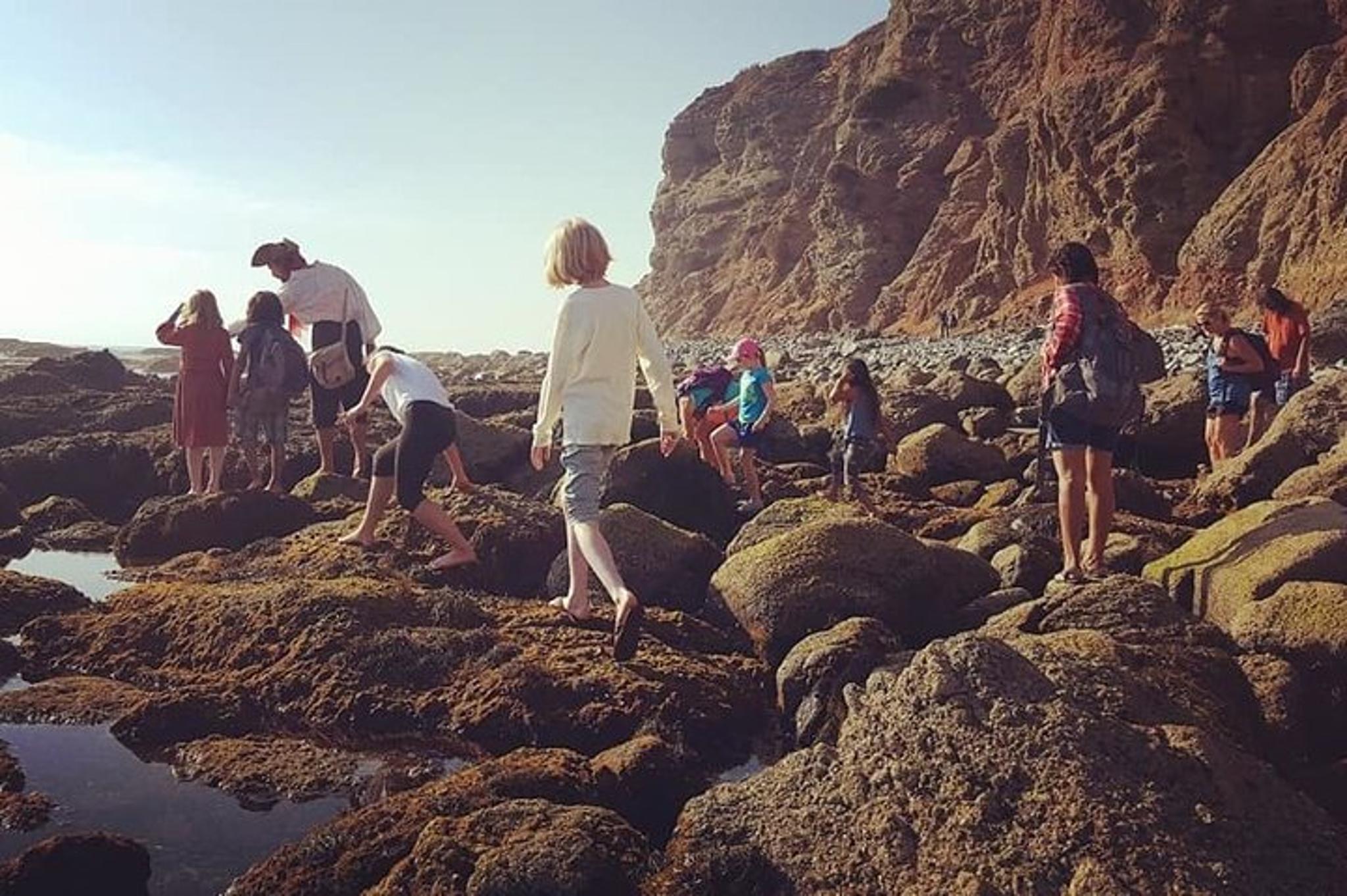 Dana Point Sea Cave Tide Pool Walk - Image 6