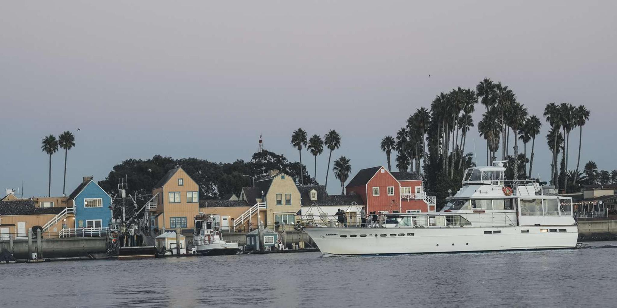 Marina del Rey Picnic Cruise with Sea Lions 1.5 hr - Image 5
