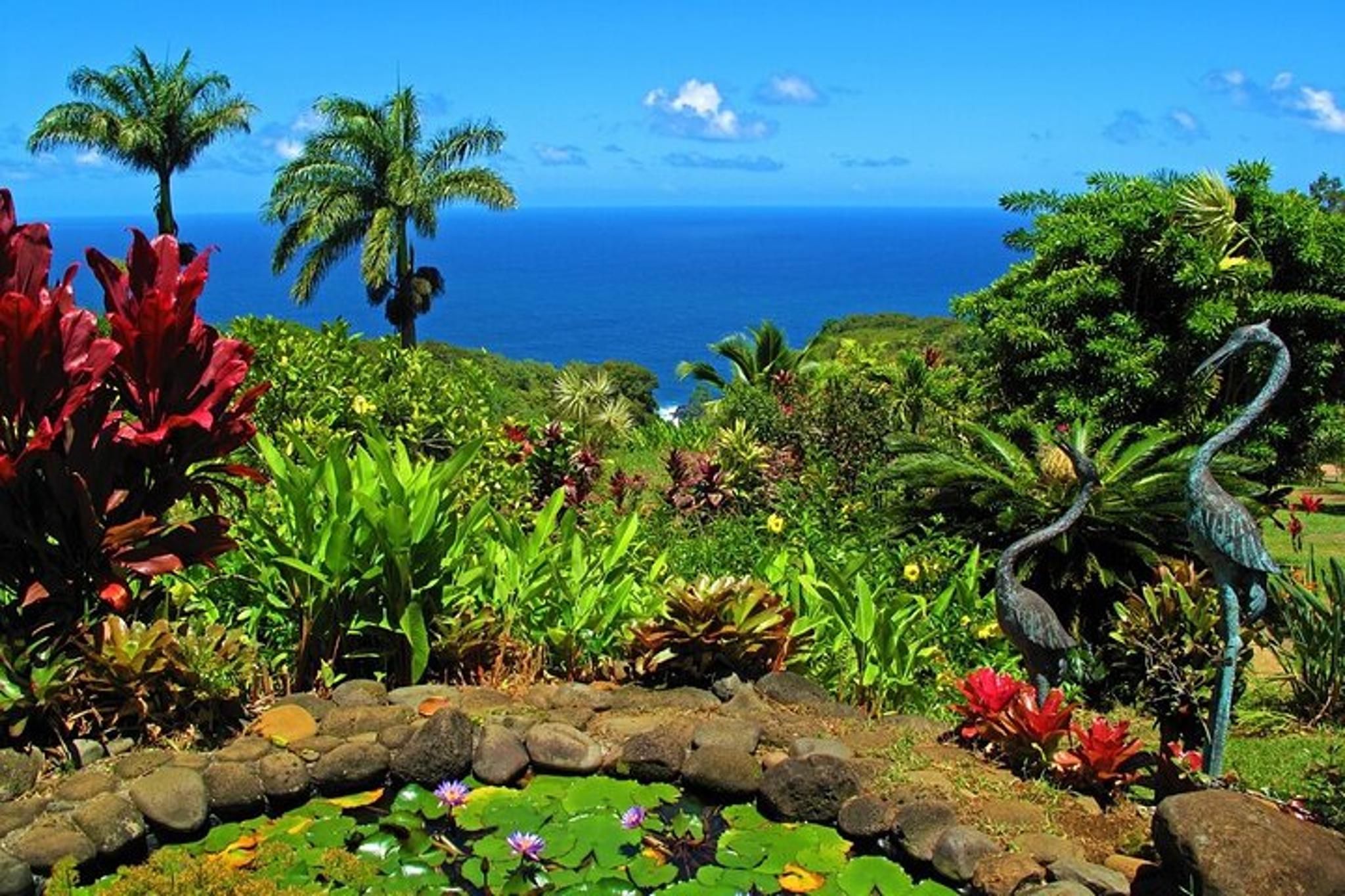 Maui Tropical Rainforest Small Group Tour - Image 3