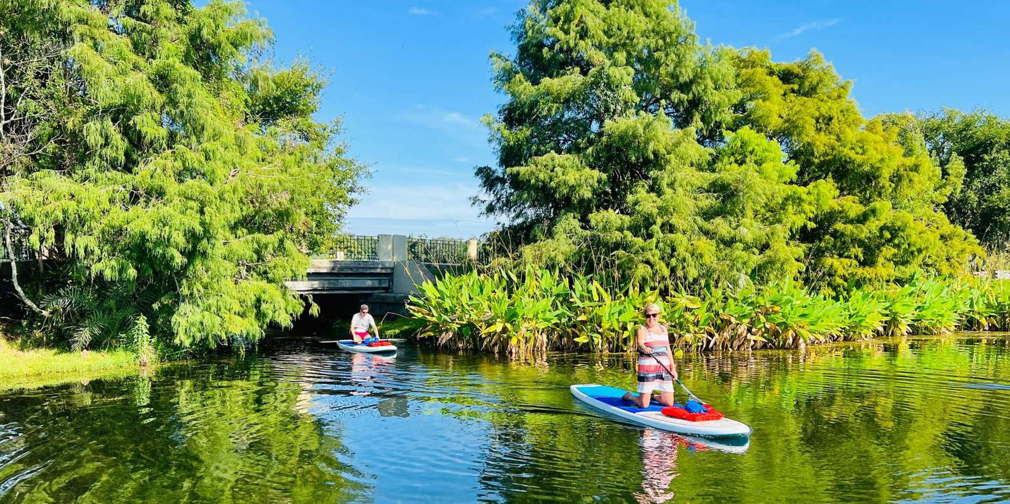 Orlando Urban Clear Kayak or Paddleboard Tour - Image 6