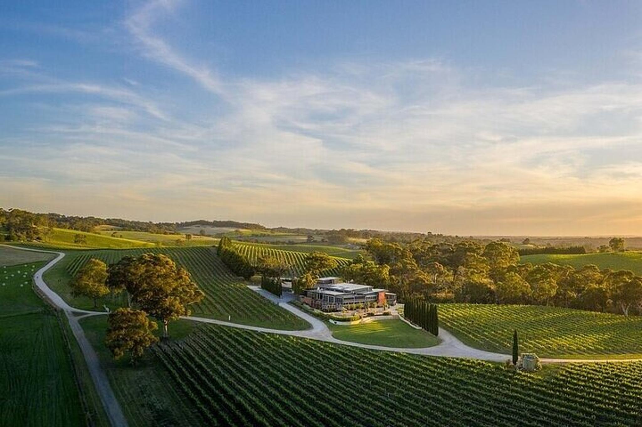 Phoenix Vortex to Vineyard Tour