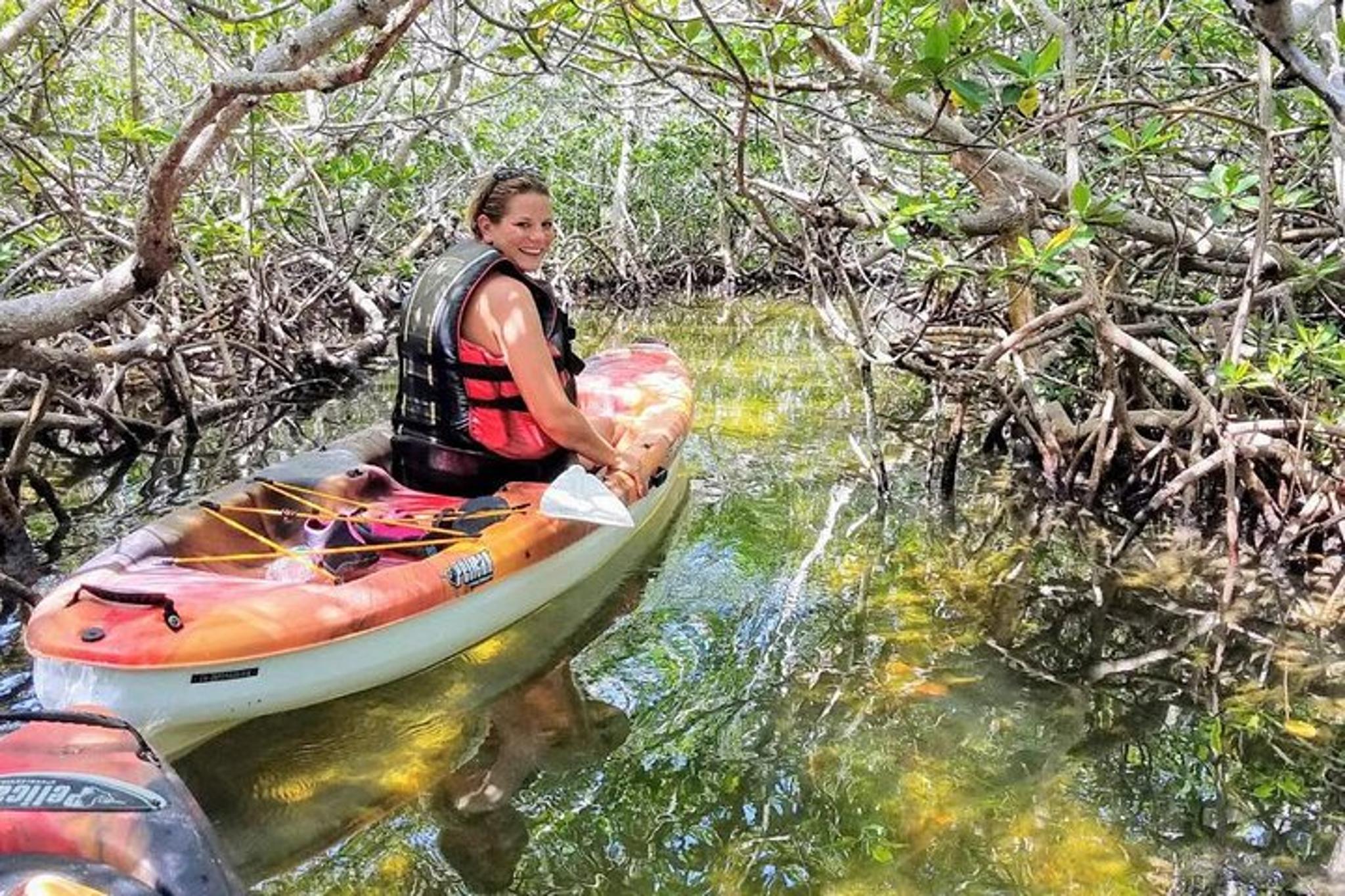 Islamorada Eco Tour: Snorkel, Kayak, and Lunch - Image 3