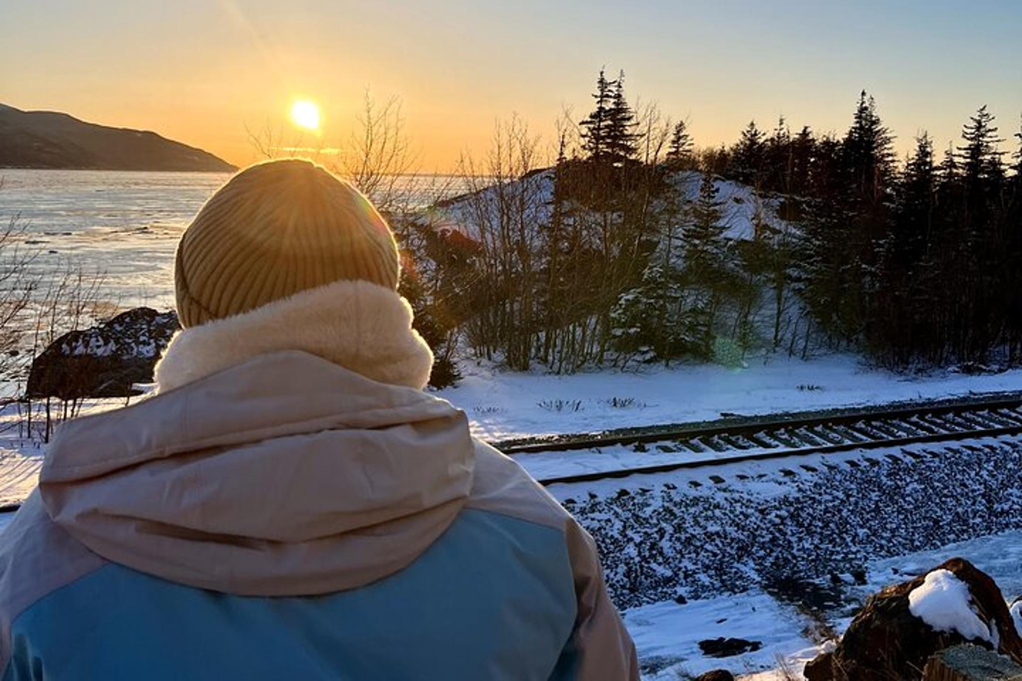 Anchorage Winter Wildlife Tour at Sunset