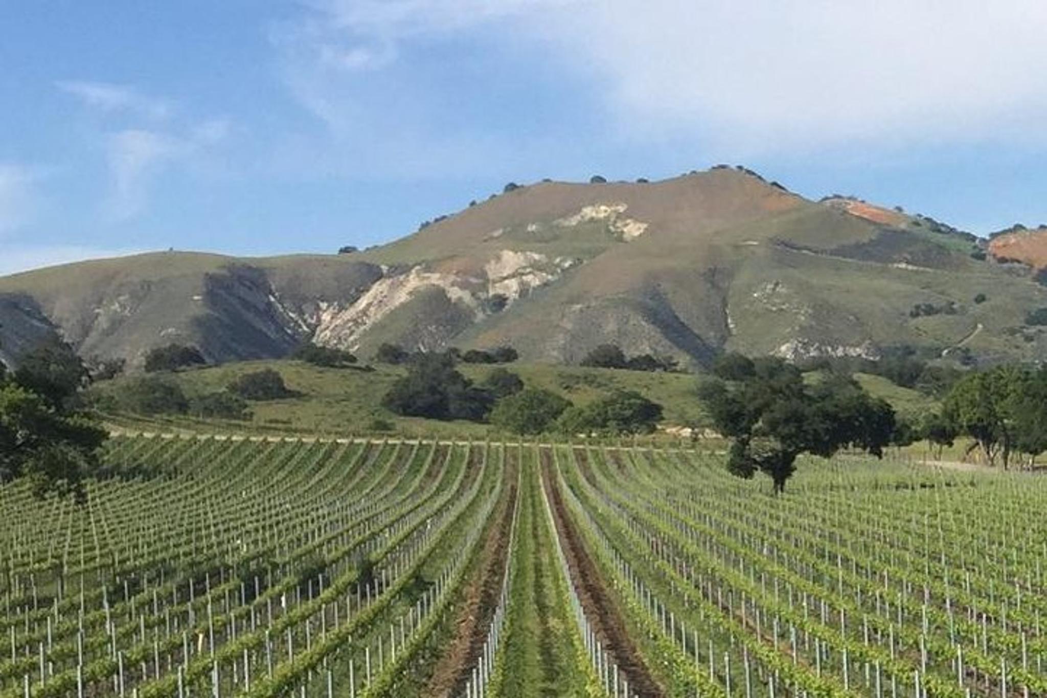 Santa Barbara Afternoon Winery Tour - Image 2