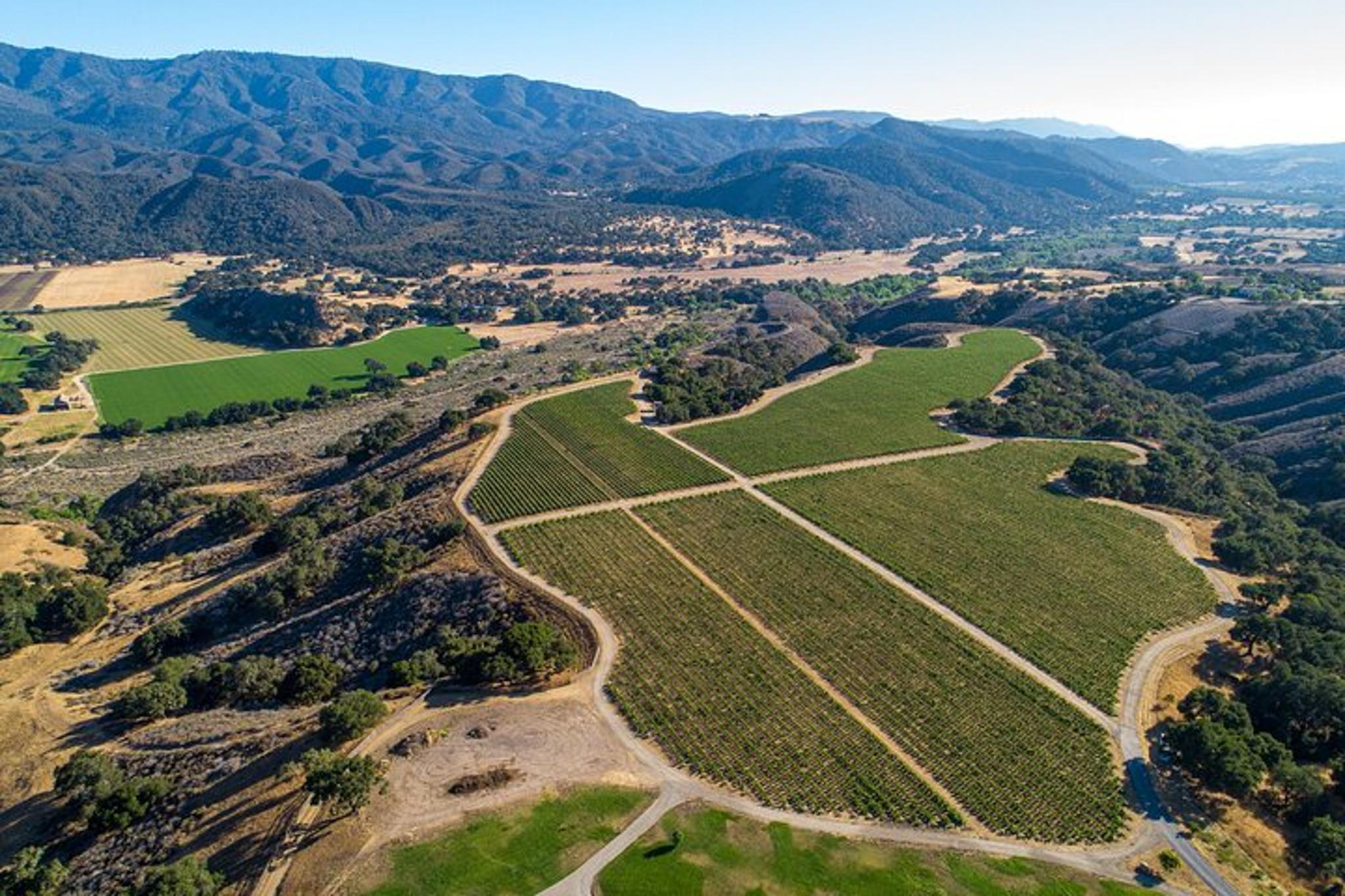 Santa Ynez Vineyard Tour and Wine Tasting - Image 3