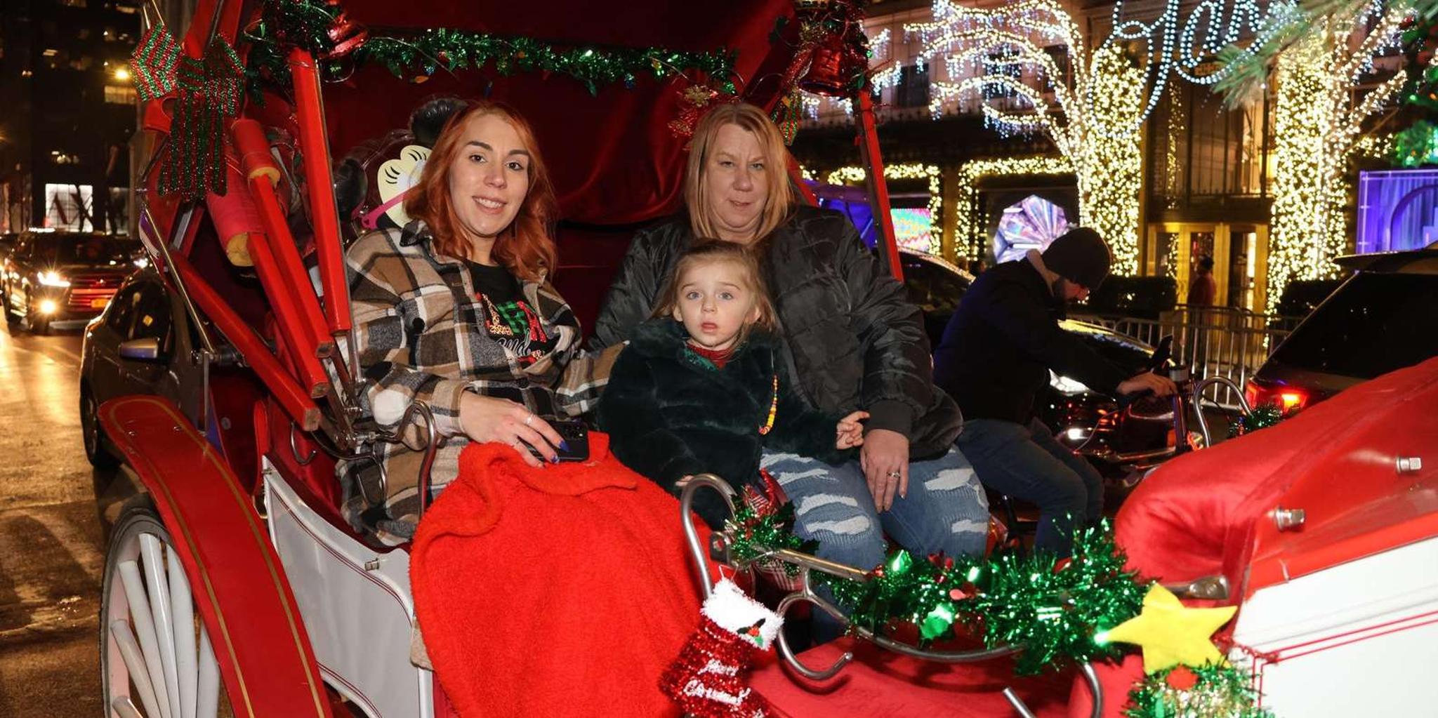 New York City Christmas Lights Carriage Ride - Image 5