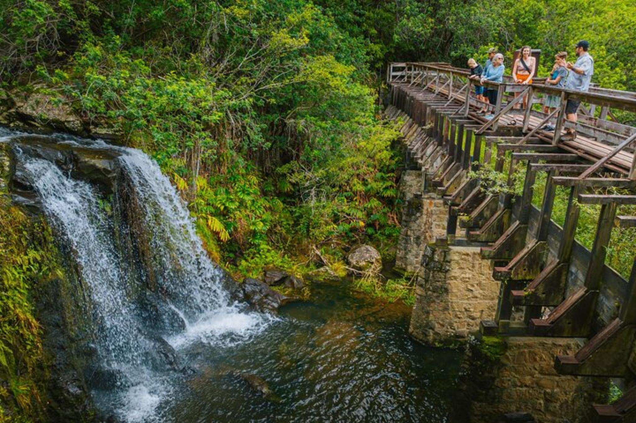 Kohala Waterfalls Adventure - Image 6
