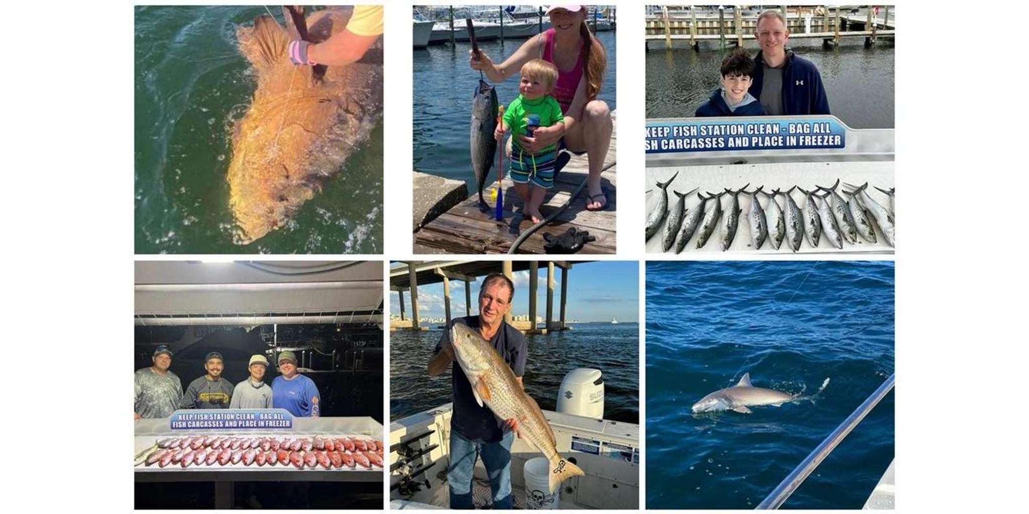 Destin Fishing Charter Experience - Image 3