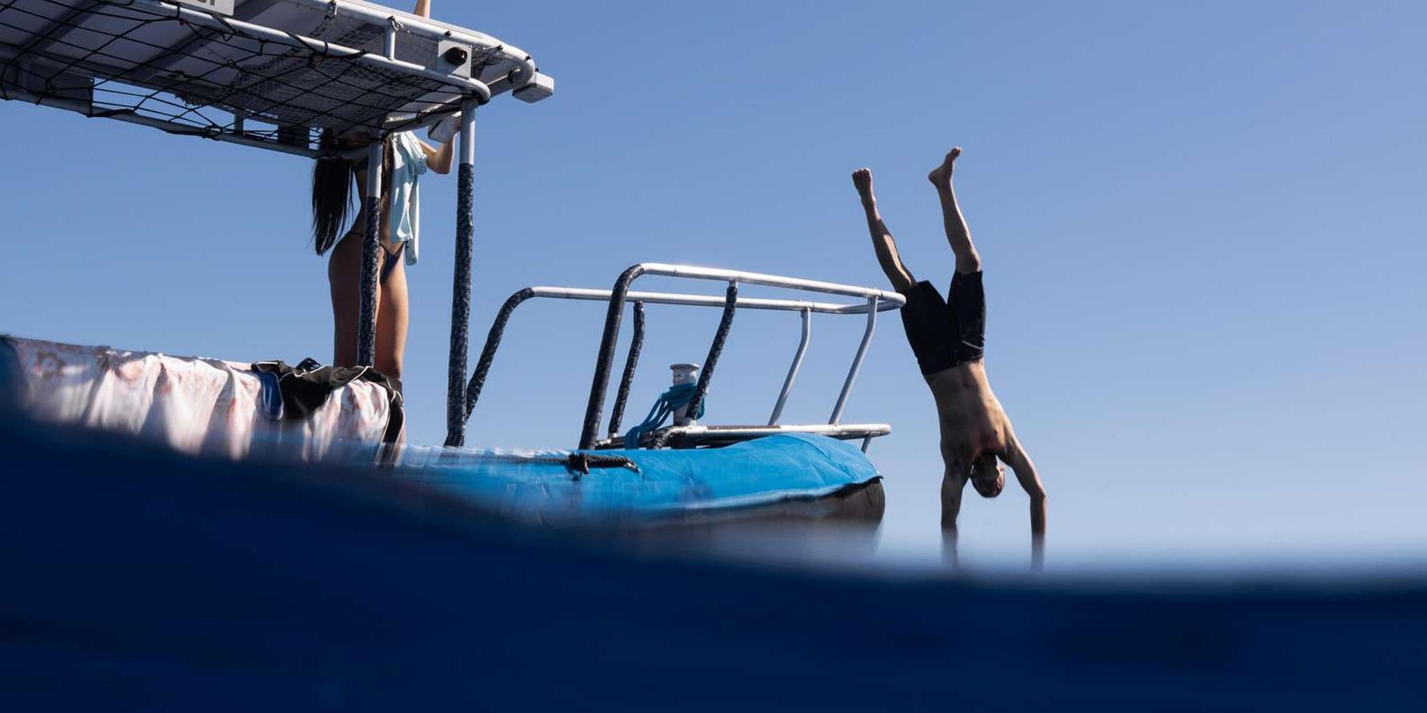 Kona Ocean Safari with Underwater Videos 4 hr - Image 4