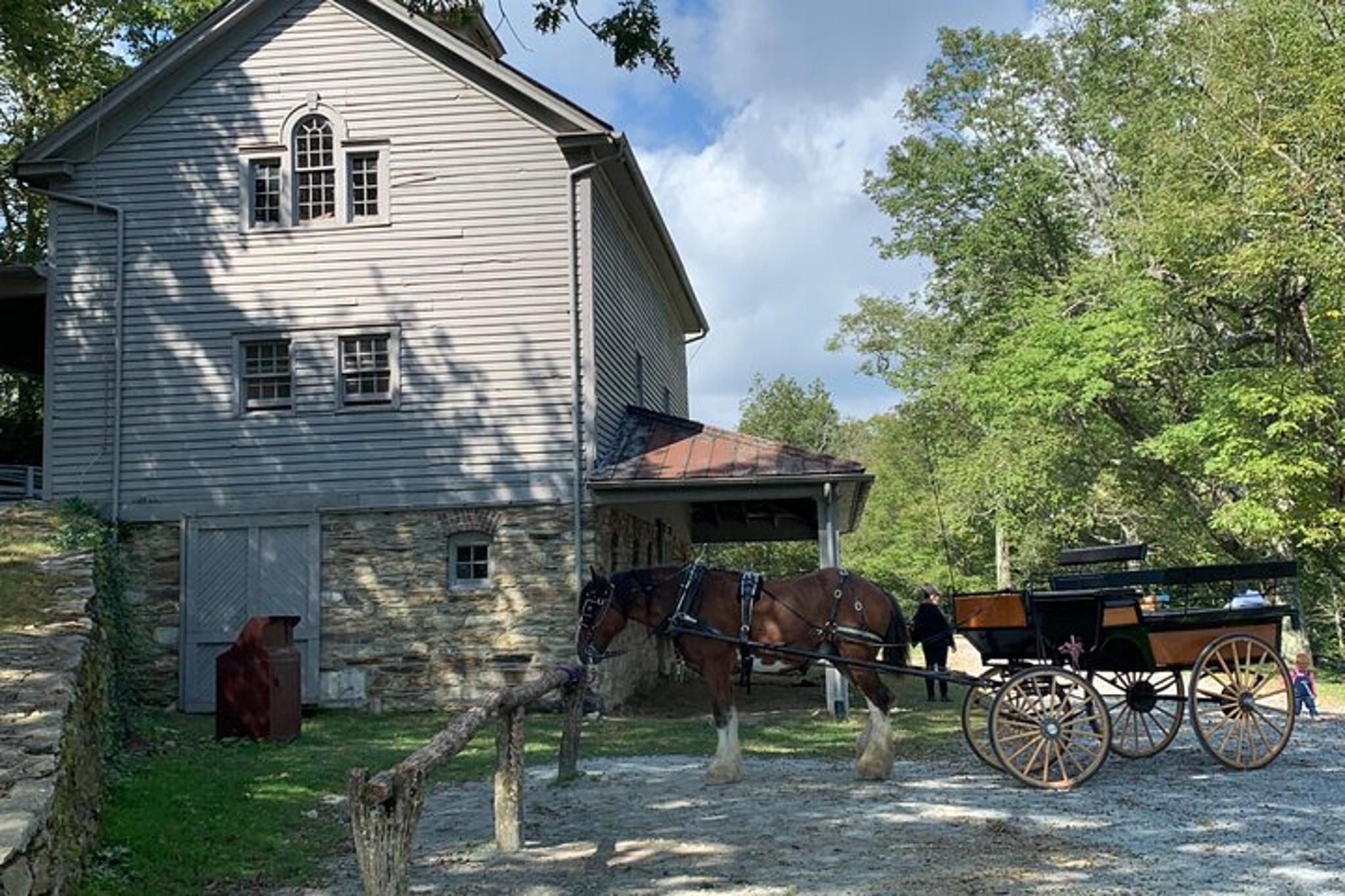 Blowing Rock Horse and Carriage Ride - Image 3