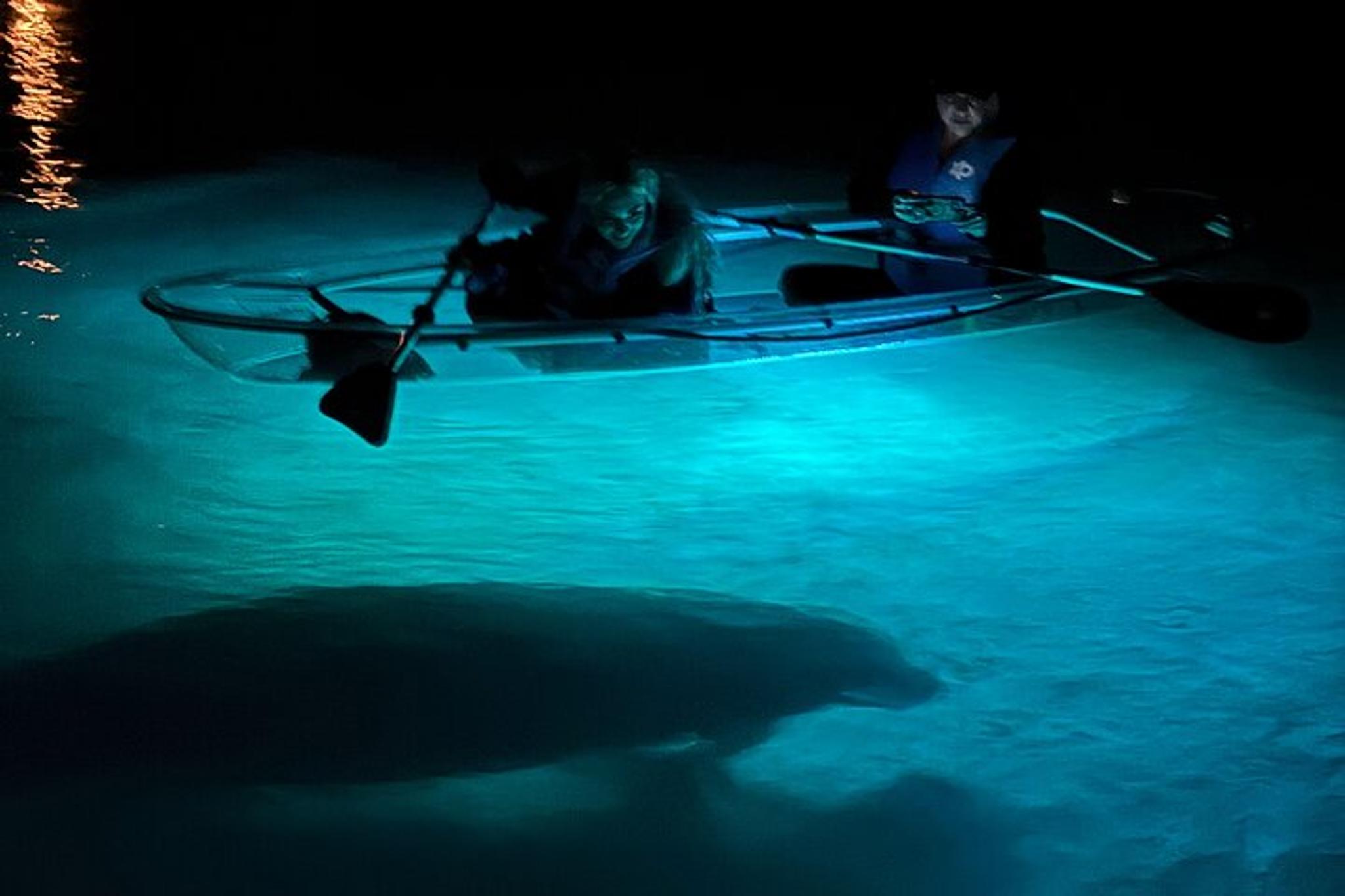 Crystal River Glow Kayak Manatee Tour at Sunset - Image 4