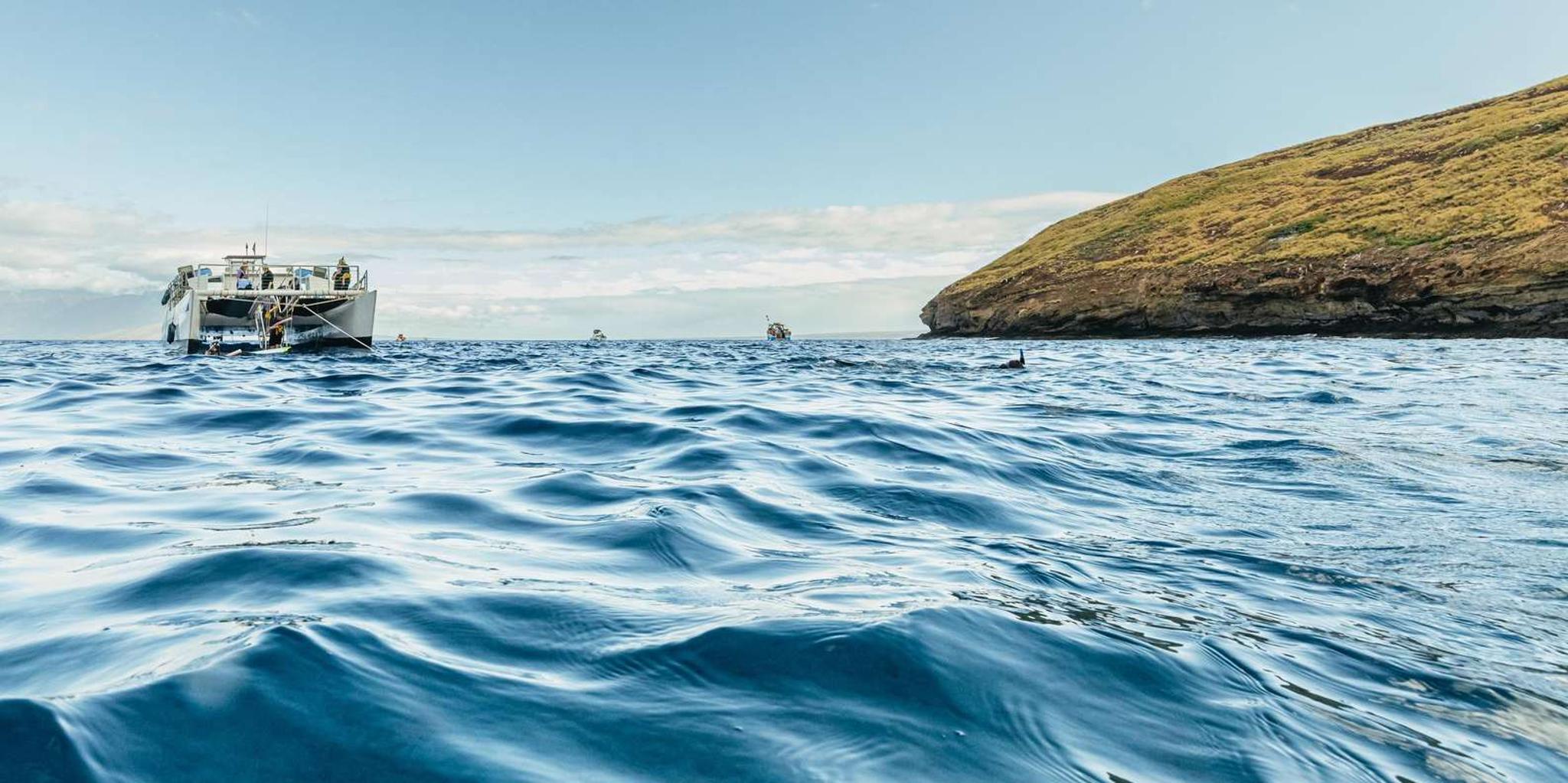 Maui Snorkeling Tour to Molokini and Turtle Town - Image 2