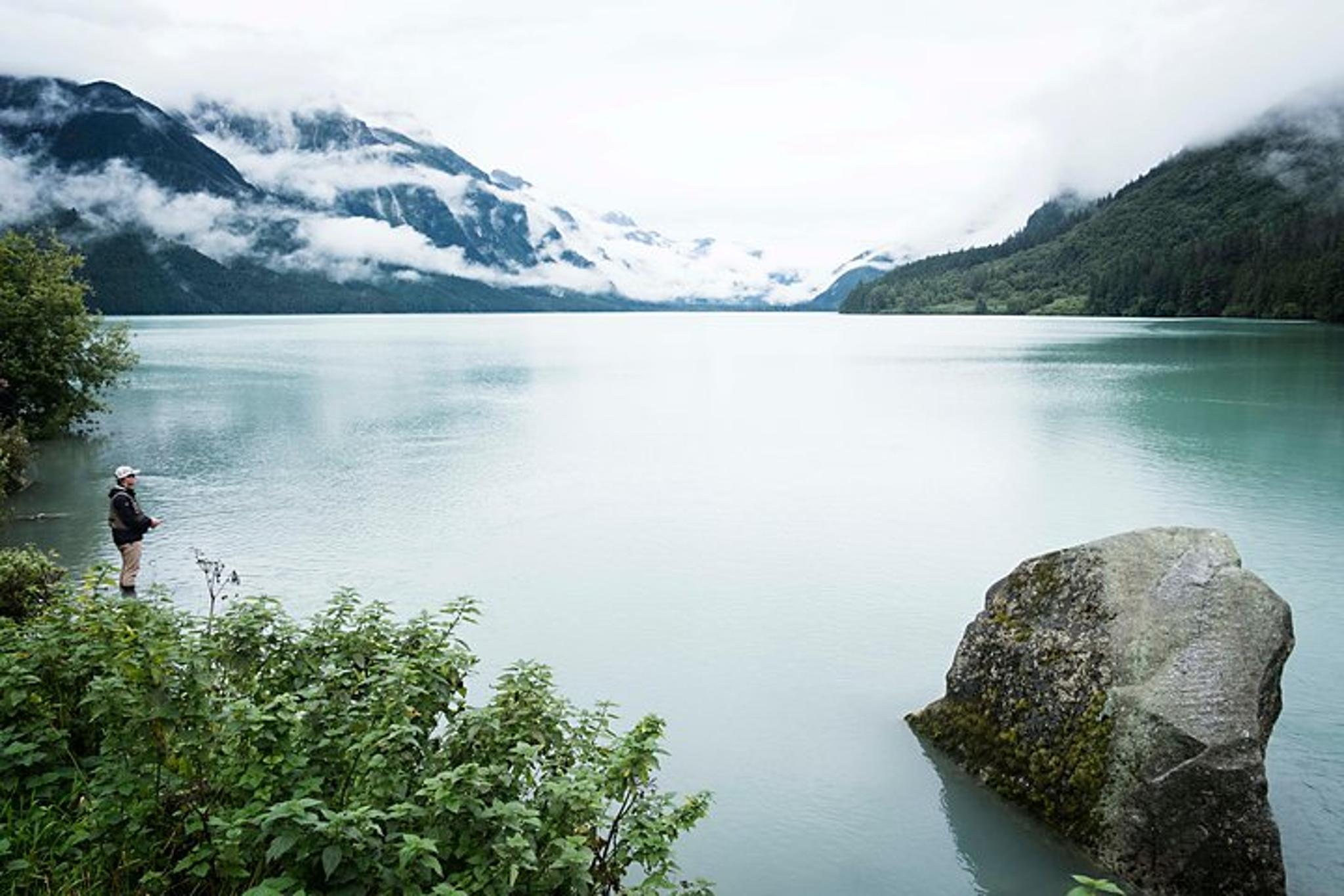 Haines Nature and Wildlife Viewing 2.5 hr - Image 6