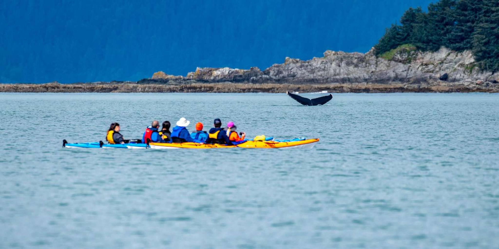 Juneau Kayak Adventure with Whales - Image 1