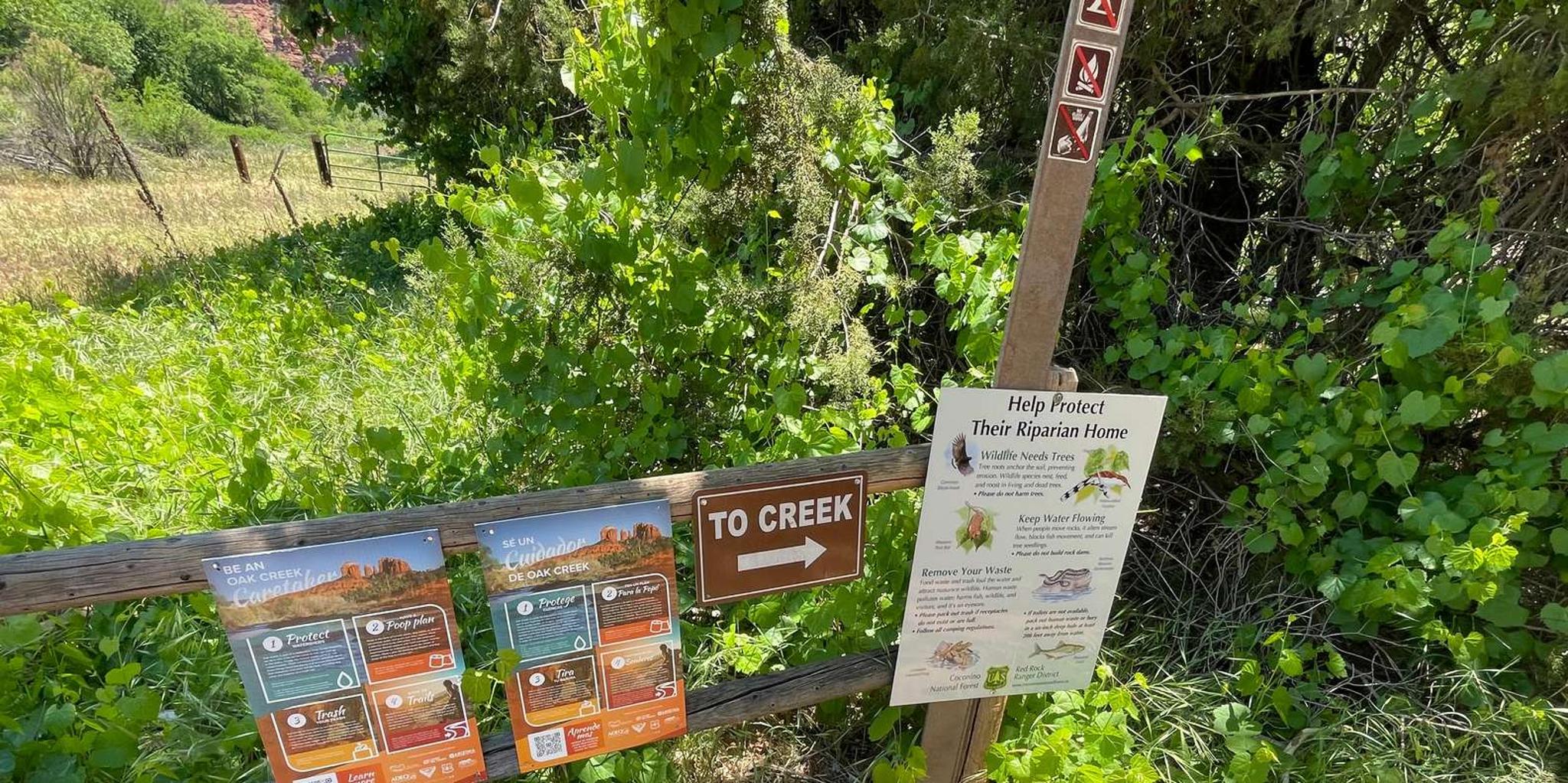 Sedona Cathedral Rock Vortex E-Bike Tour - Image 5