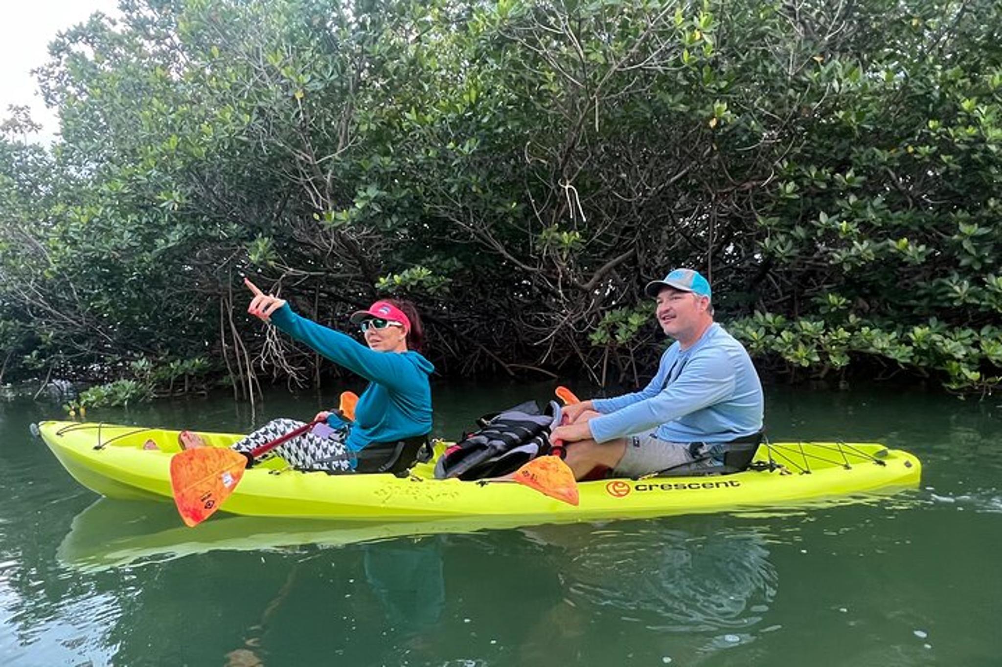Key West Clear Kayak Rental Discover Mangroves 2 hr - Image 5