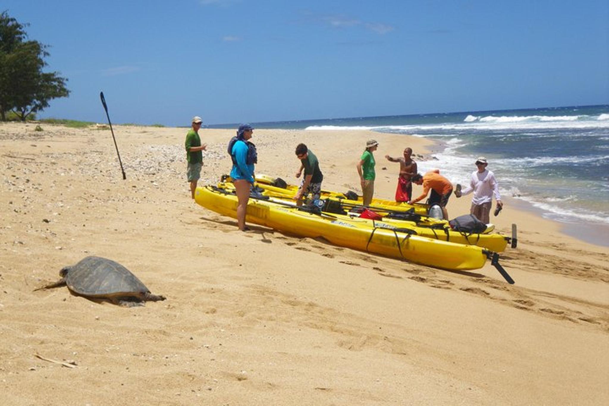 Kauai Sea Kayaking Na Pali Coast 10-Mile Tour - Image 3