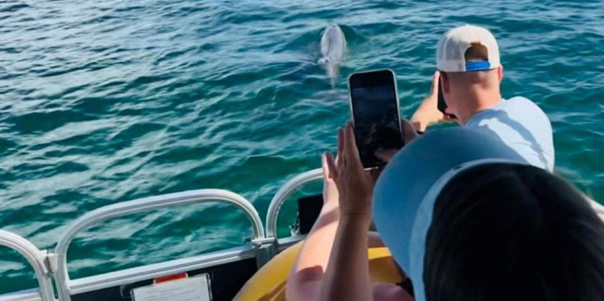Destin Boat Ride in Choctawhatchee Bay - Image 2