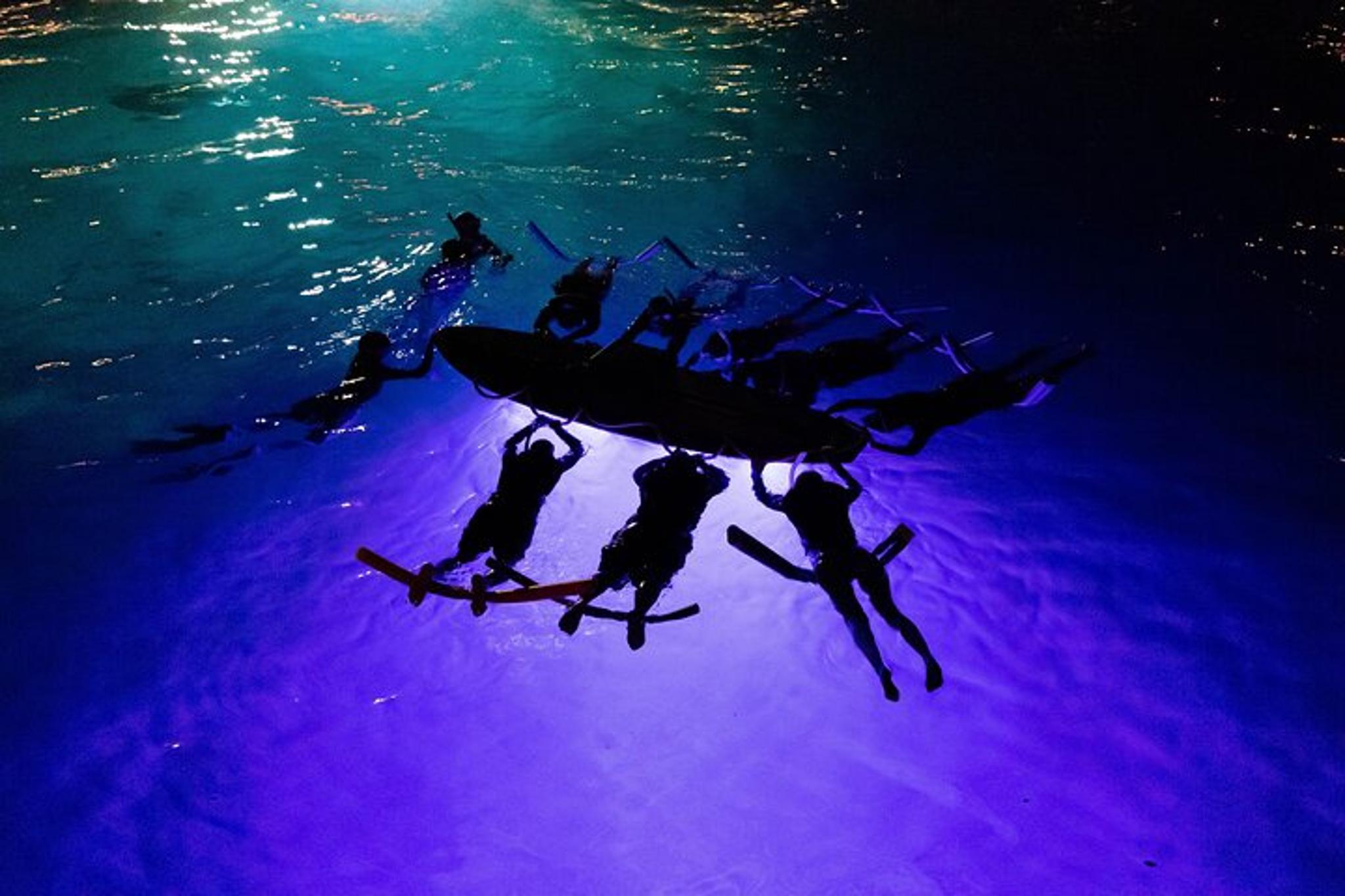 Kona Night Manta Snorkel Tour - Image 3