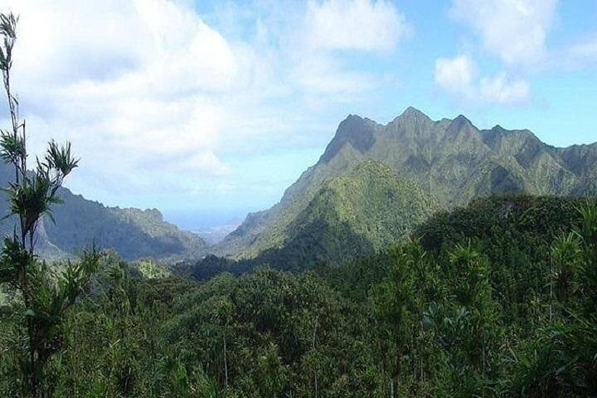 Kauai Pearl Harbor and Circle Island Tour - Image 4