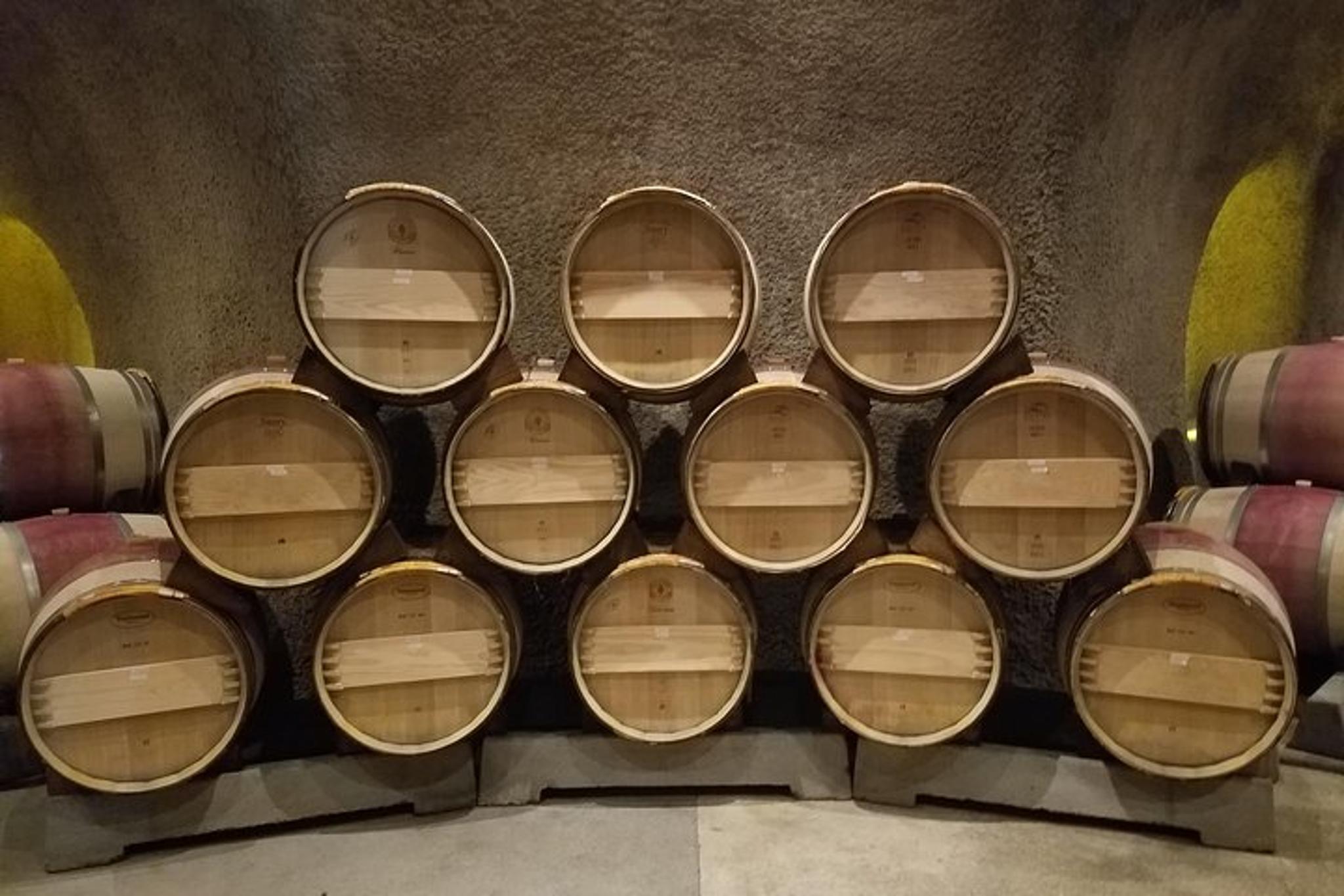 Sonoma and Napa Wine Country Tour 6 hr - Image 4