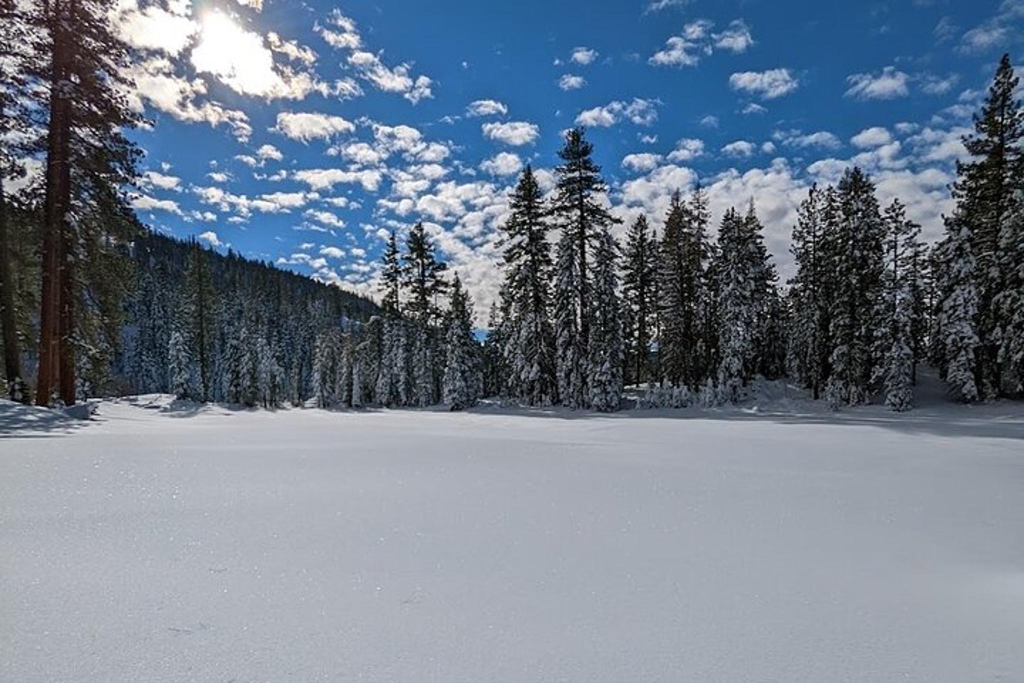 Tahoe City Moonlight Snowshoe Tour - Image 6