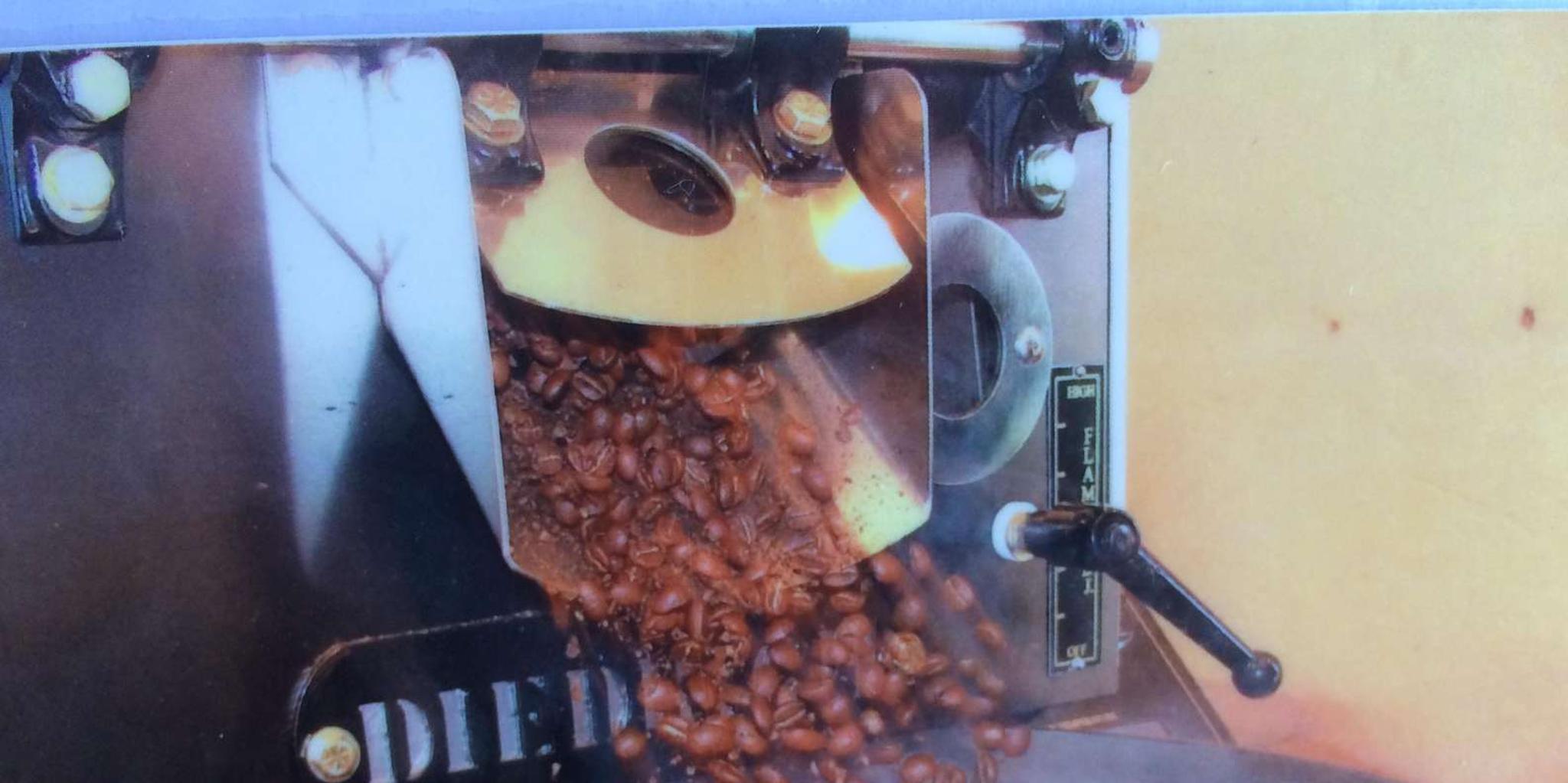 Kona Coffee and Sea Turtles Tour - Image 2