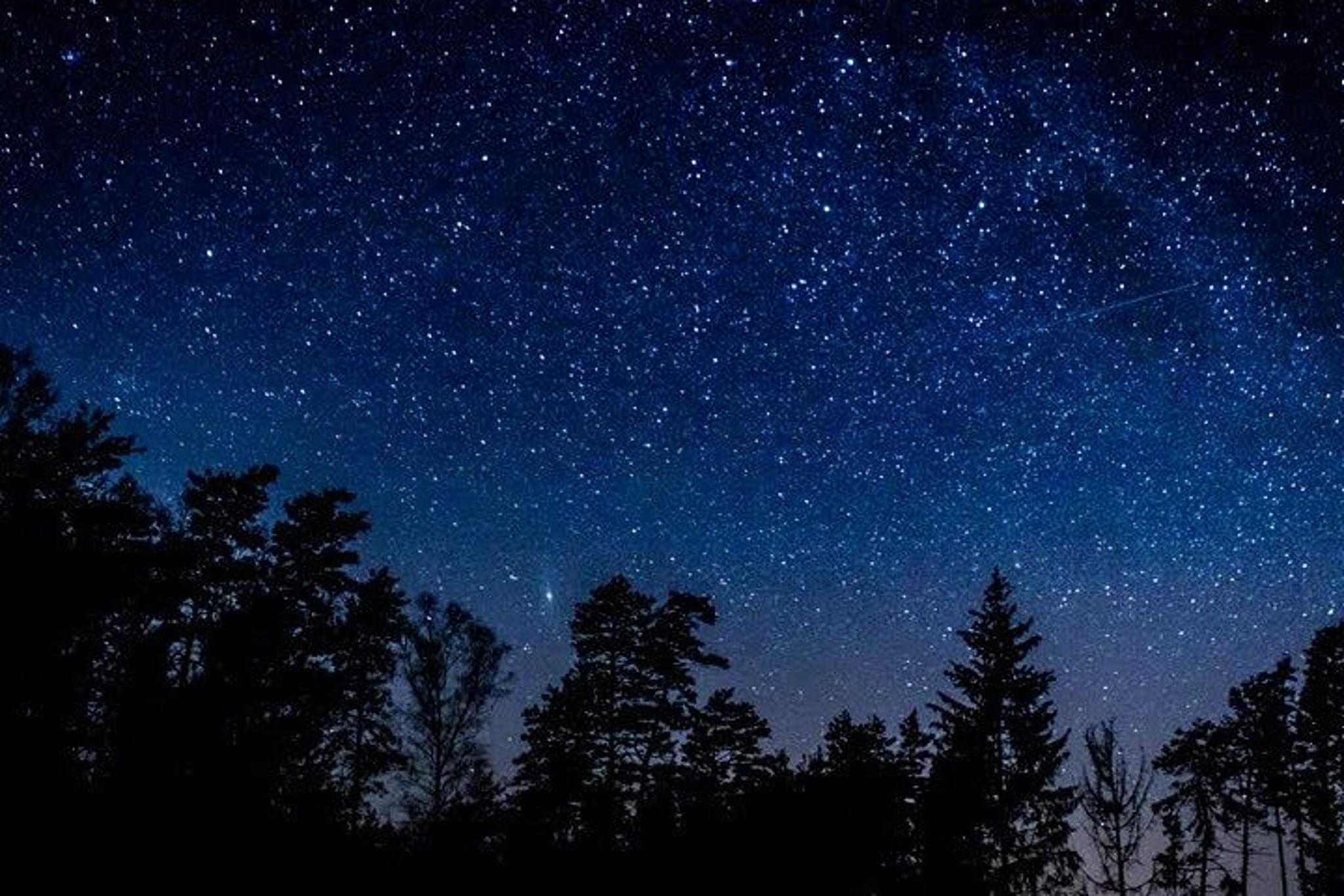 Sequoia National Park Stargazing Tour